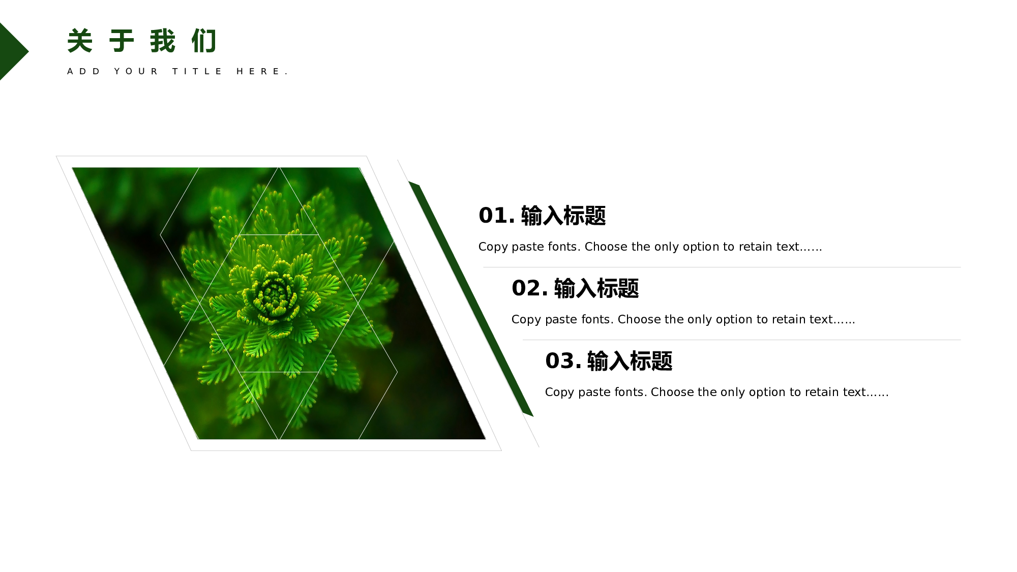 ins风5138.pptx 第5页