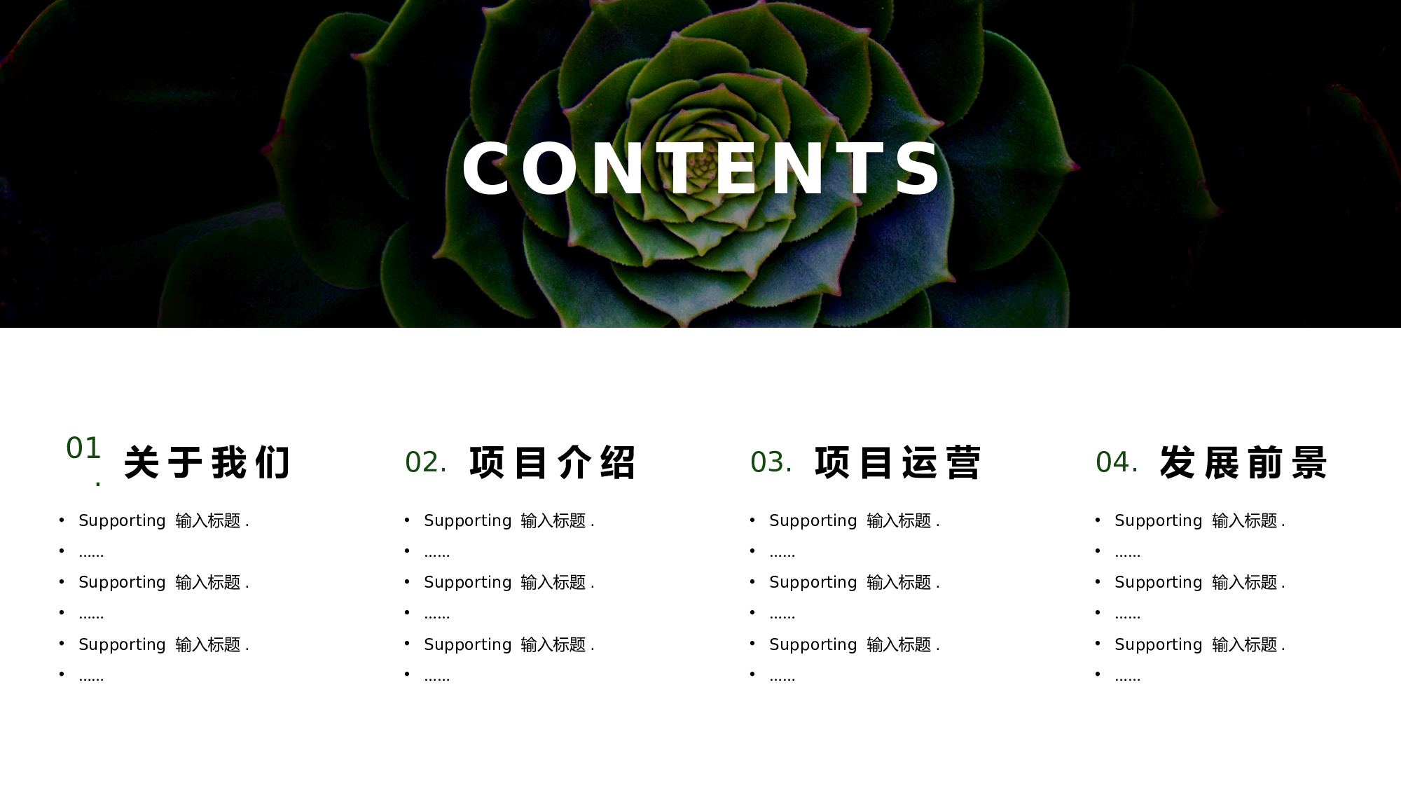 ins风5138.pptx 第2页