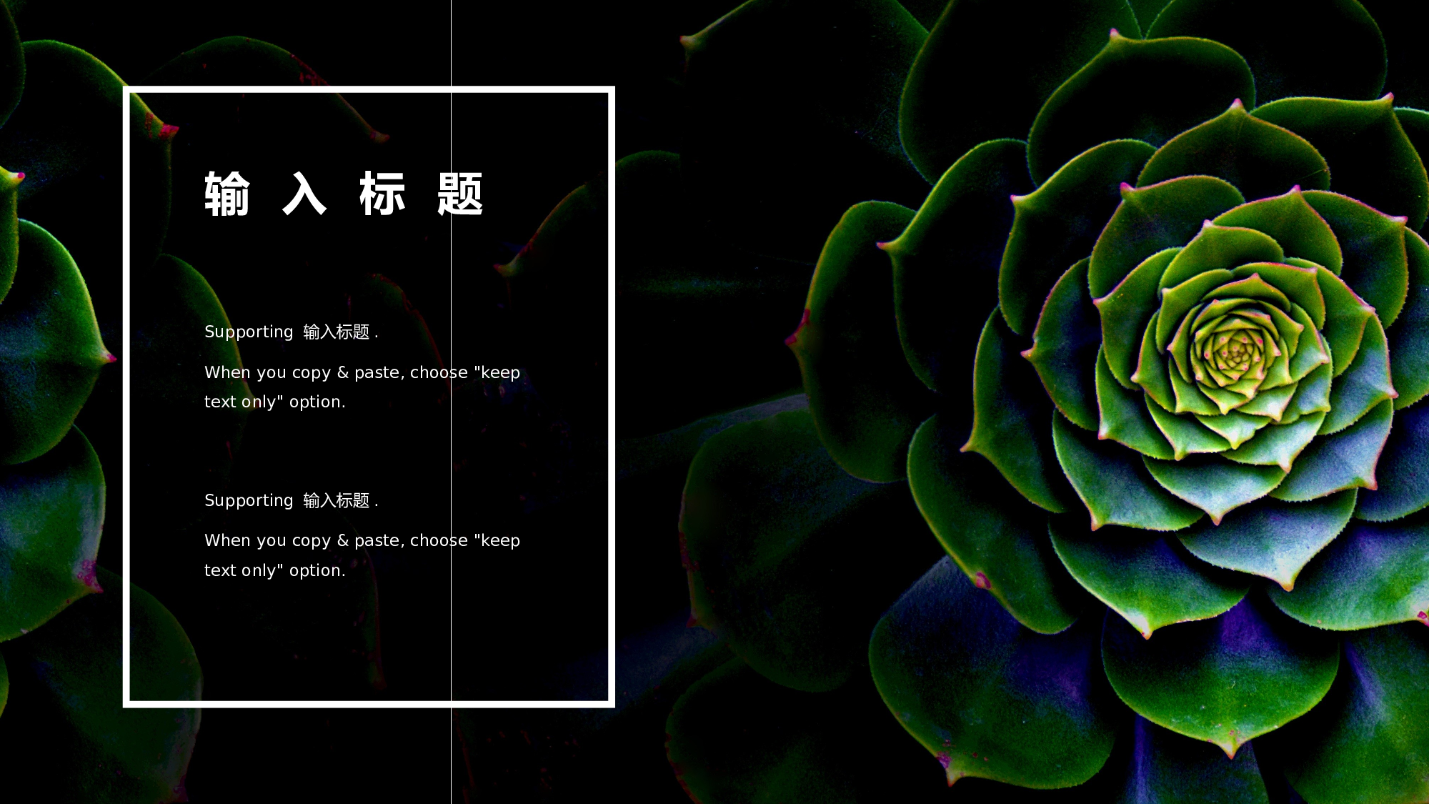 ins风5138.pptx 第6页