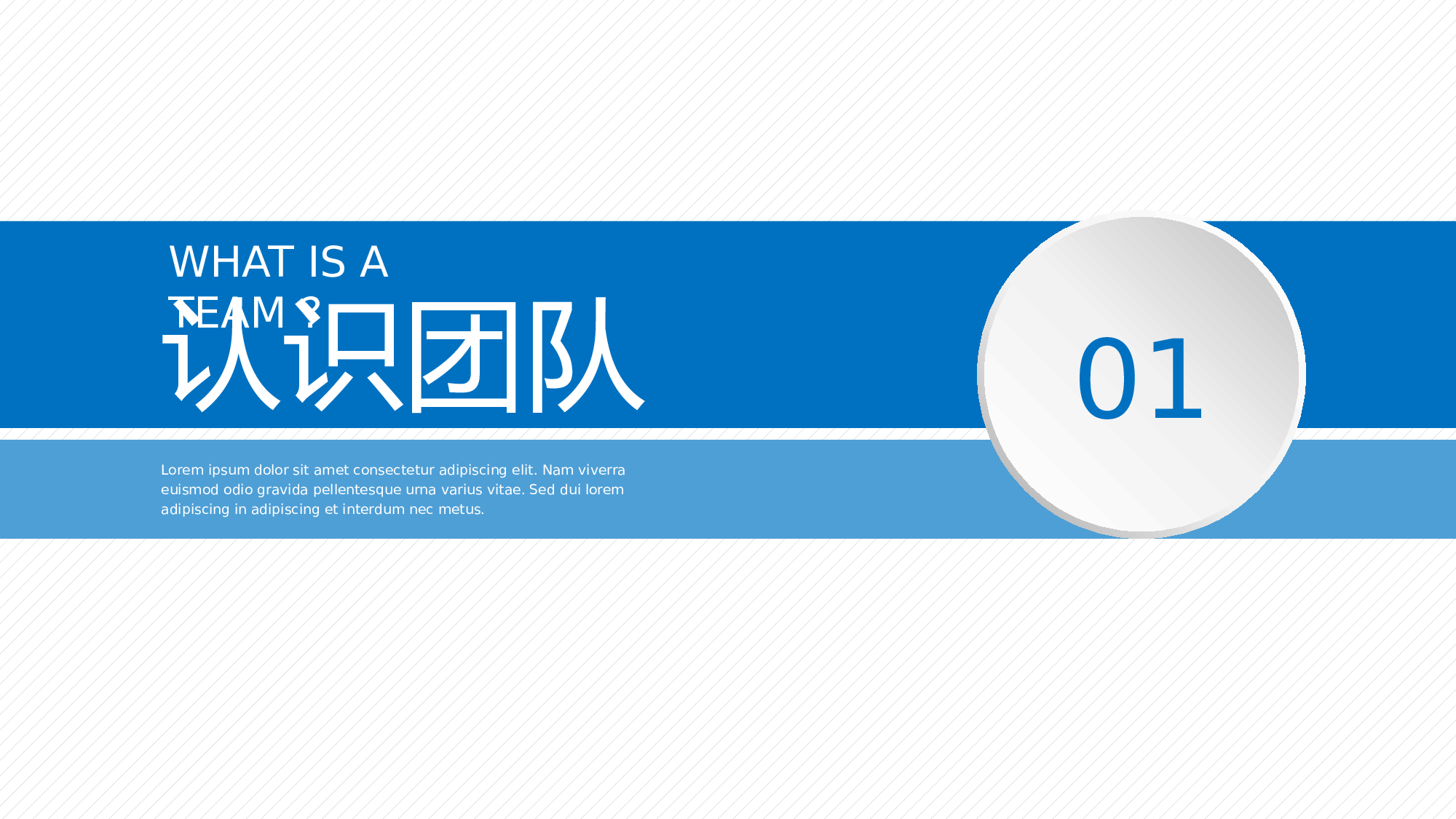 MBE风格131.pptx 第3页