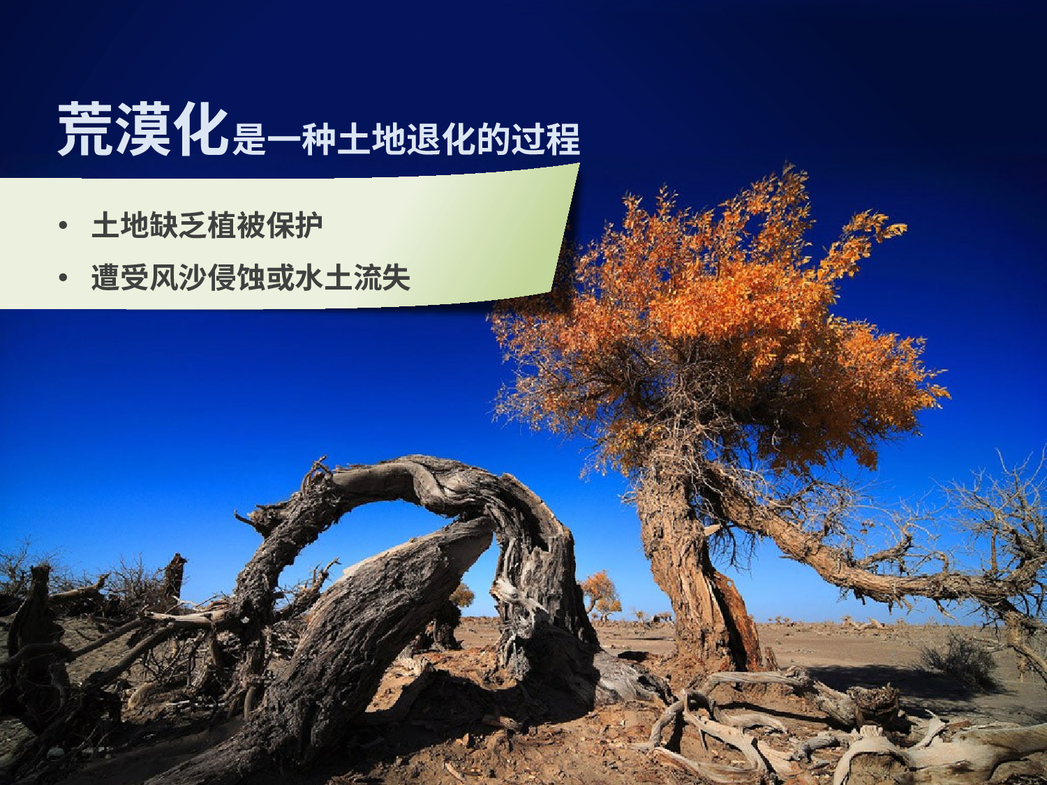 动态 182 .pptx 第3页