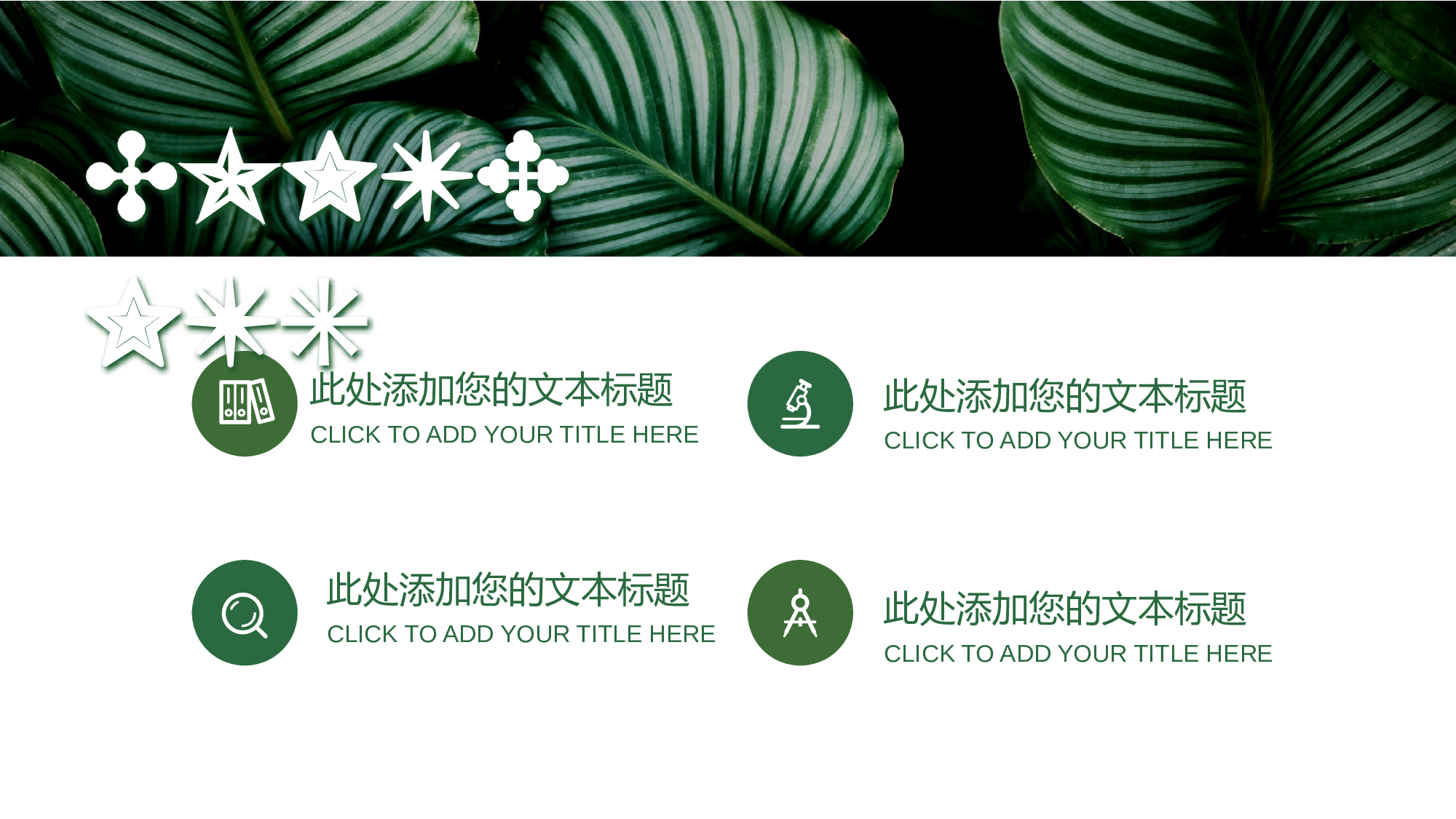 仙系动态1213.pptx 第2页