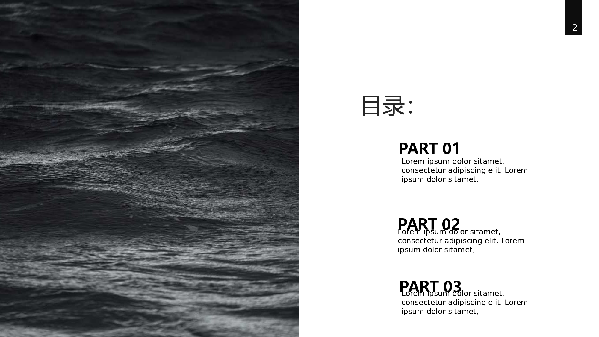 仙系动态1415.pptx 第2页