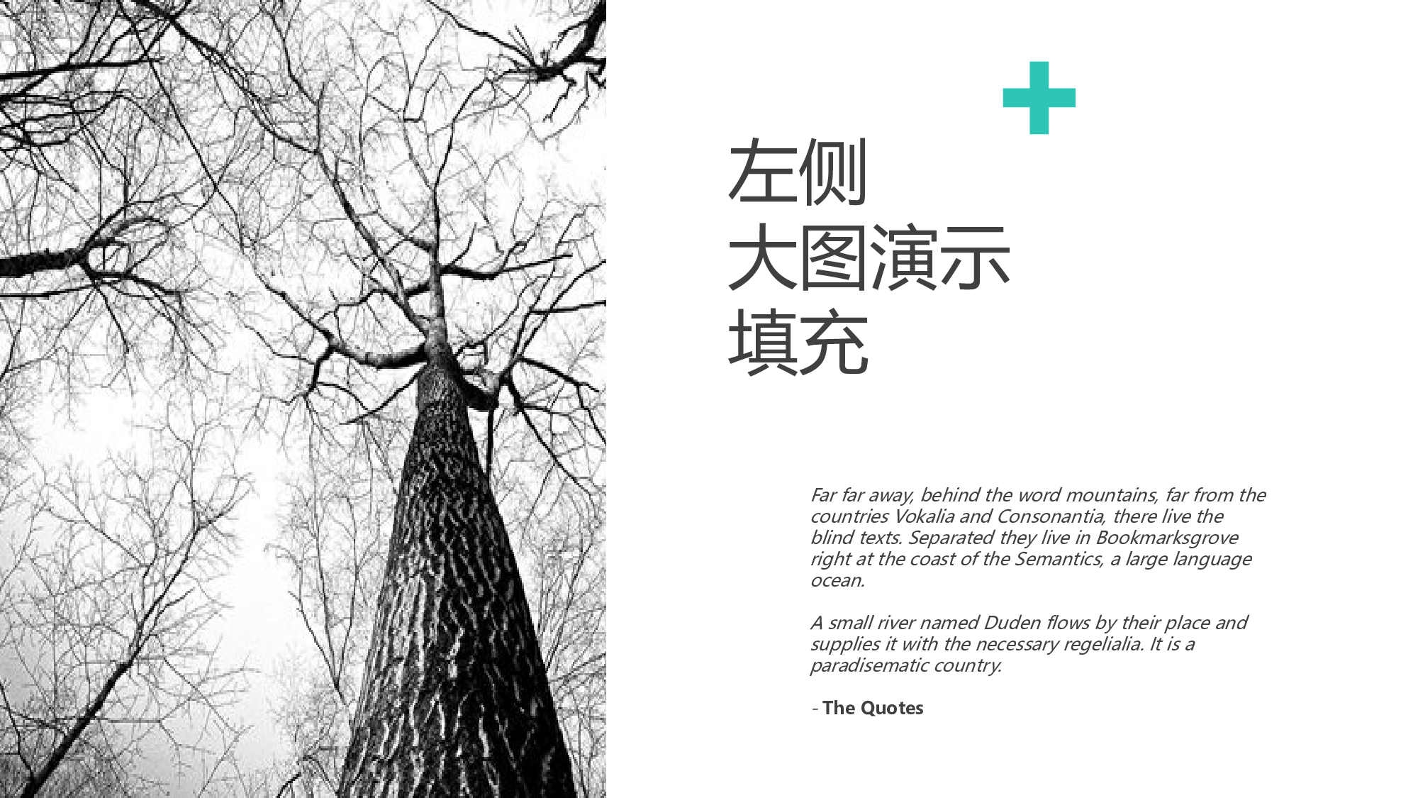 仙系静态124.pptx 第6页