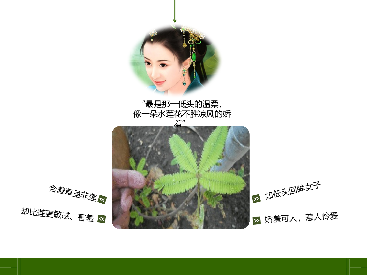 动画版50.pptx 第4页