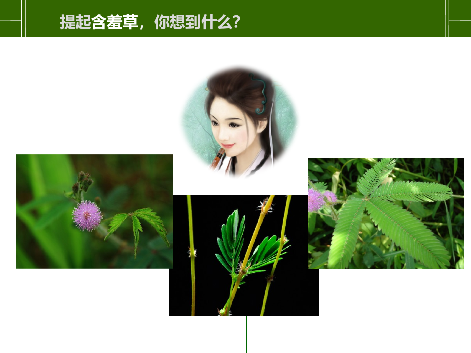 动画版50.pptx 第3页