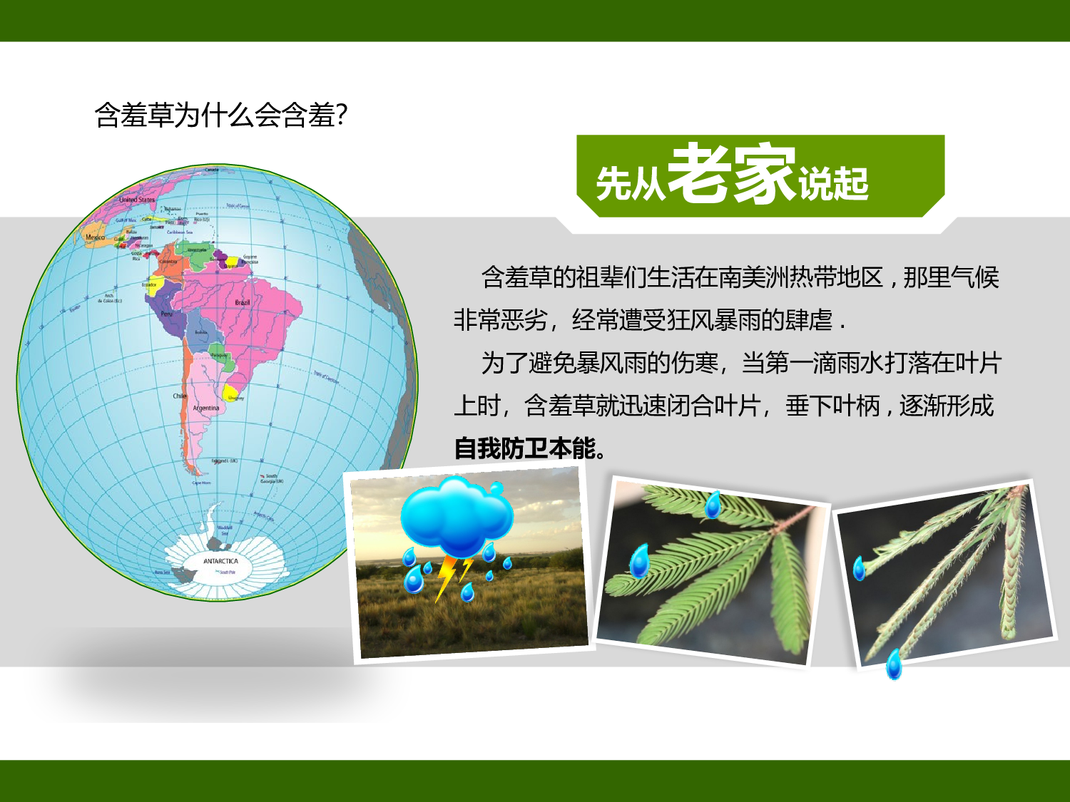 动画版50.pptx 第6页