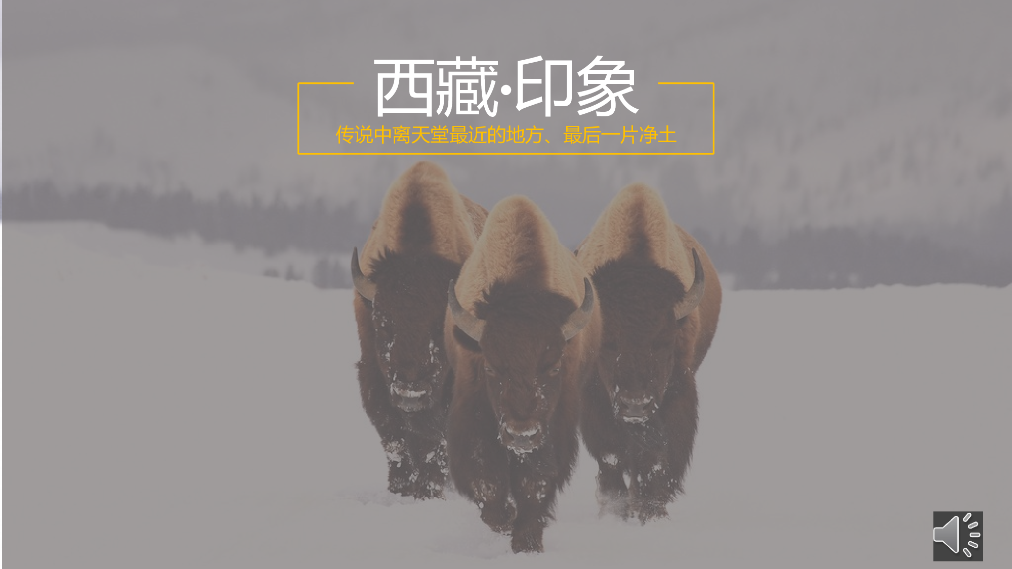 动态模板(新) (25).pptx 第1页