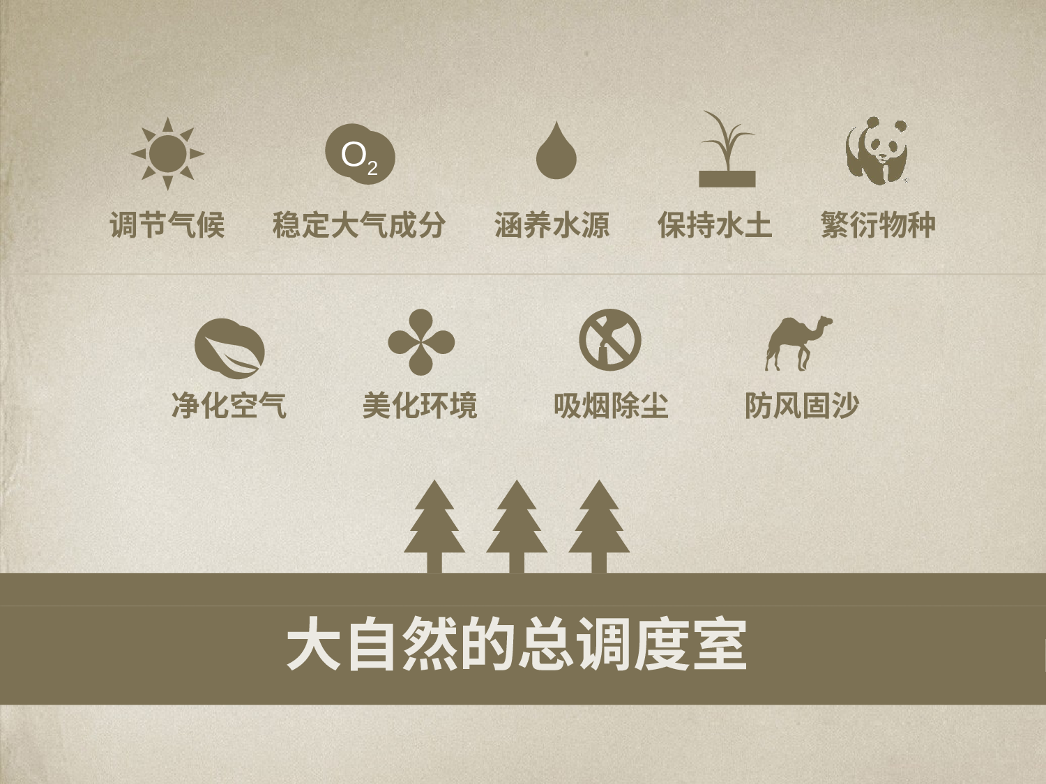 美乐辰 动态 162.pptx 第3页
