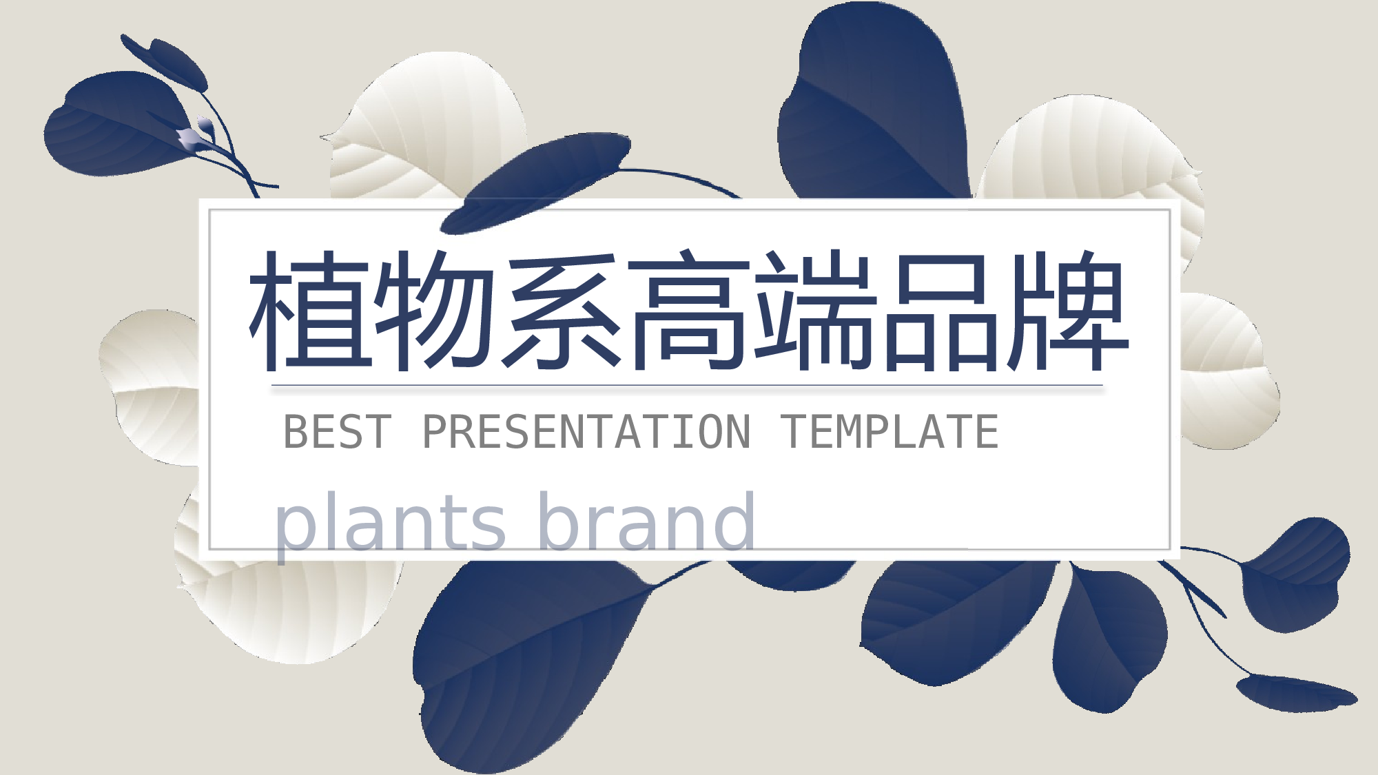 ins风1354.pptx 第1页