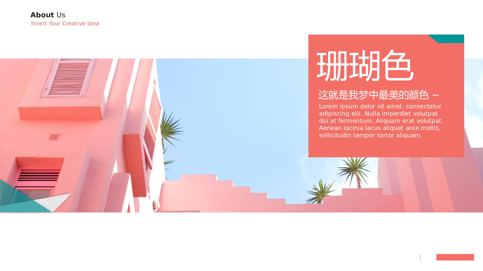 ins风141.pptx 第1页
