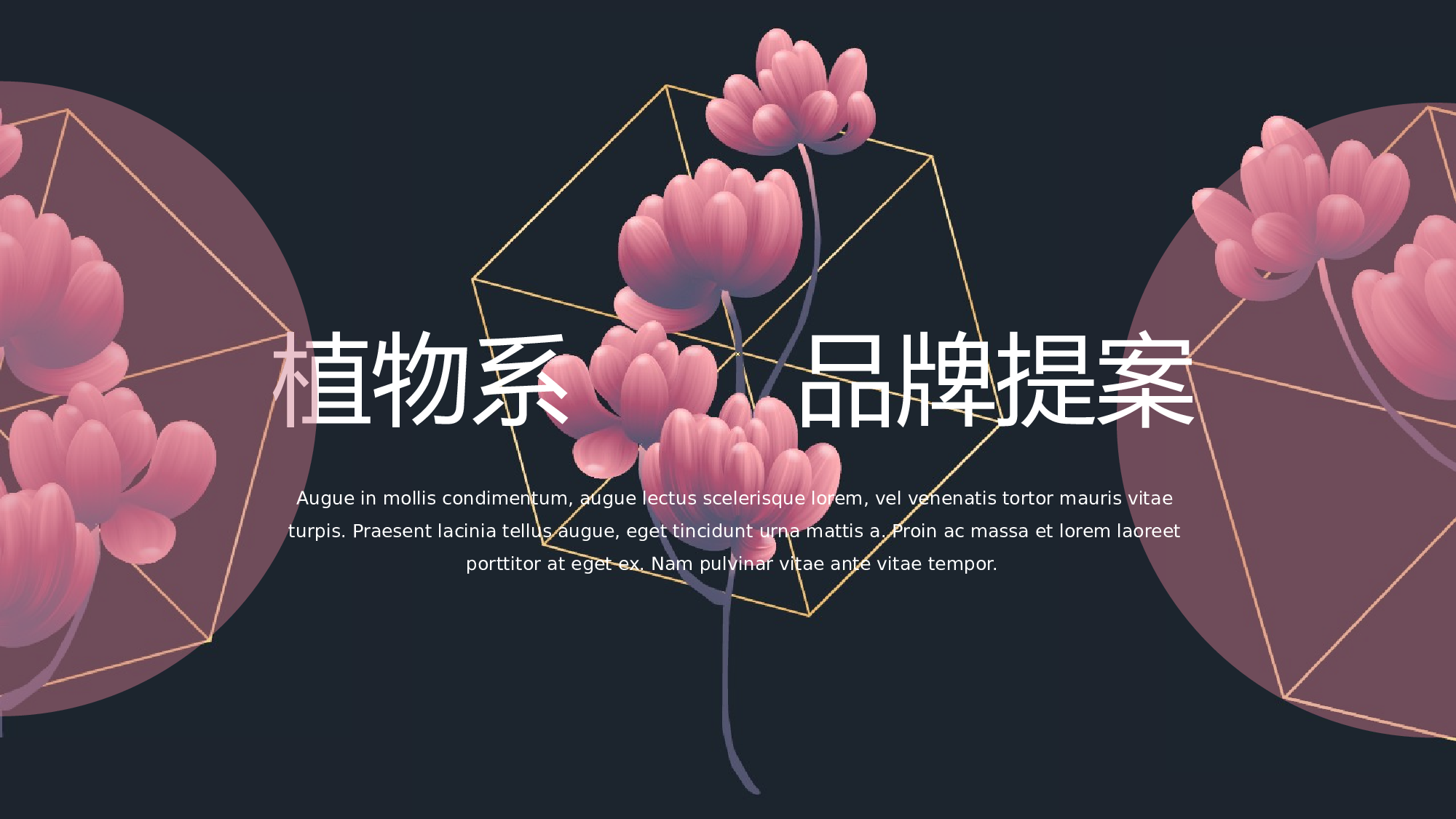 ins风142.pptx 第1页