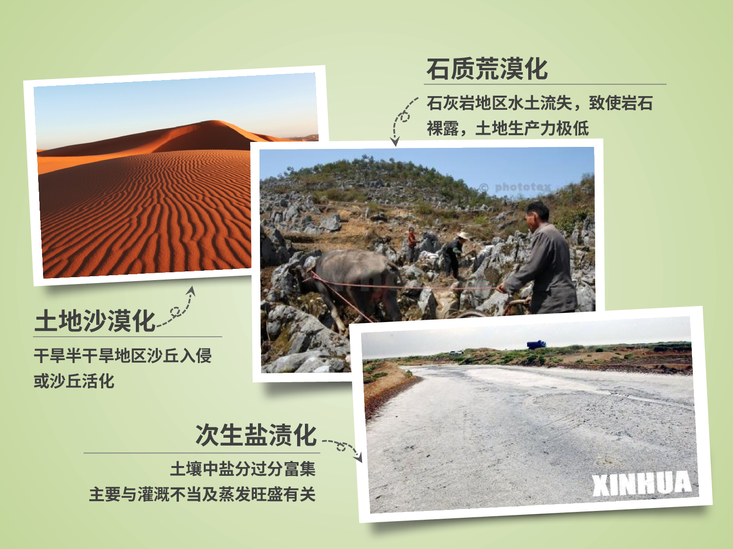 美乐辰 动态 164.pptx 第4页