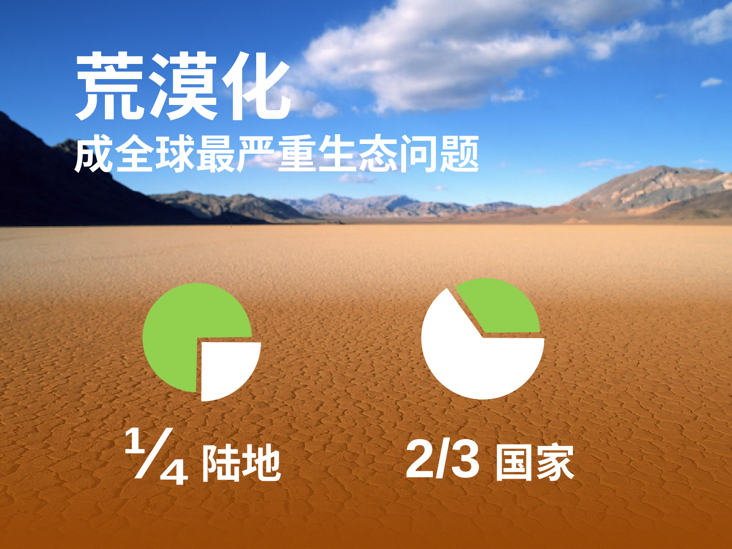 美乐辰 动态 164.pptx 第6页