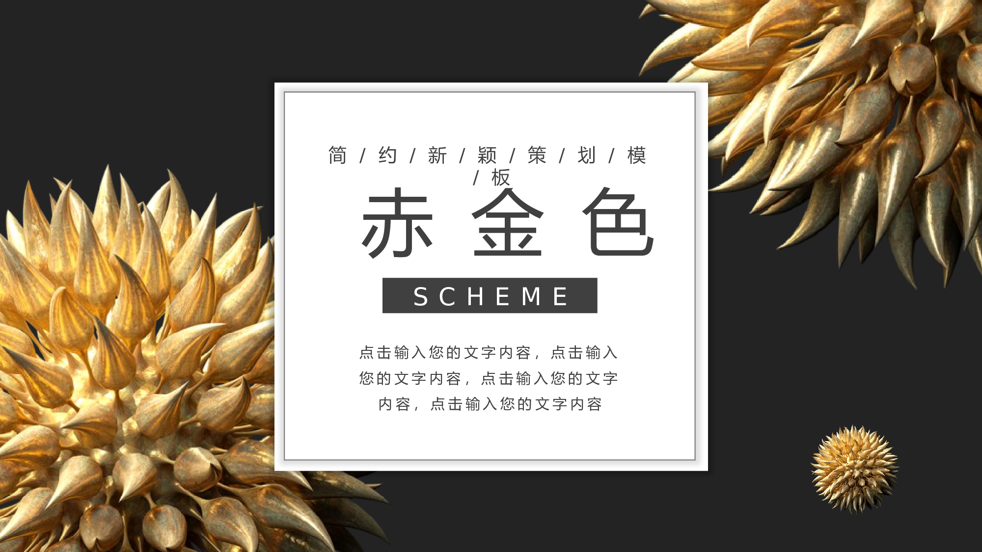ins风2411.pptx 第1页