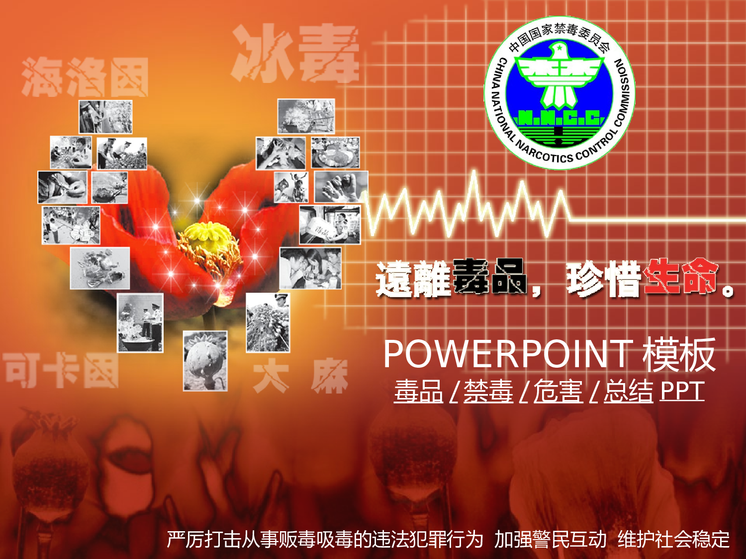 40.毒品禁毒社会稳定治安报告总结PPT幻灯片.ppt 第1页