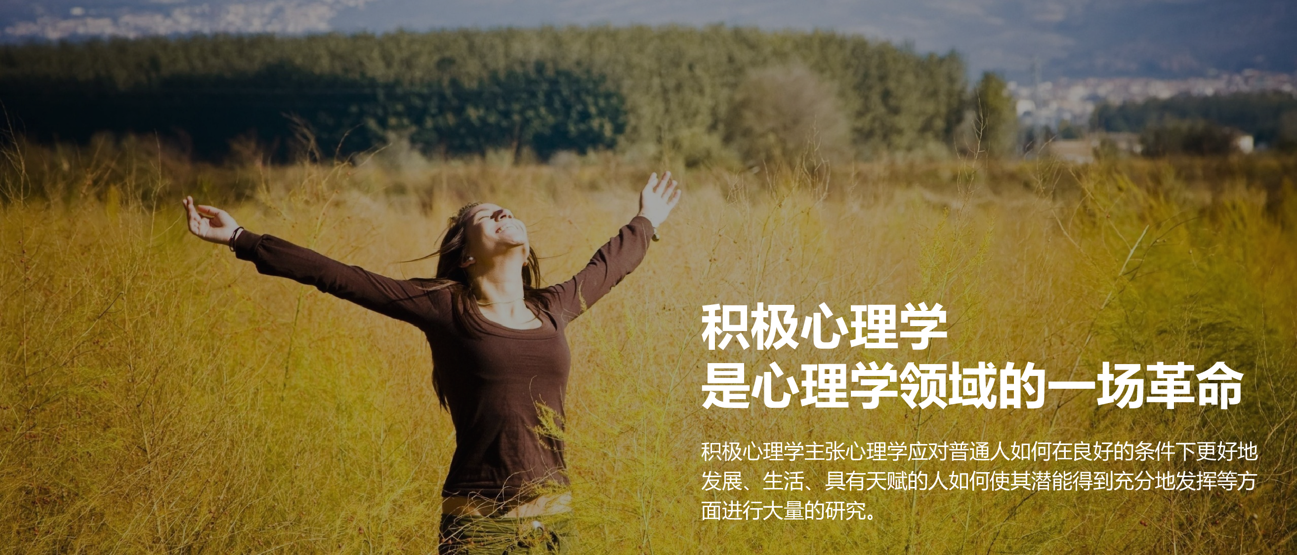 静态模板076.ppt 第5页
