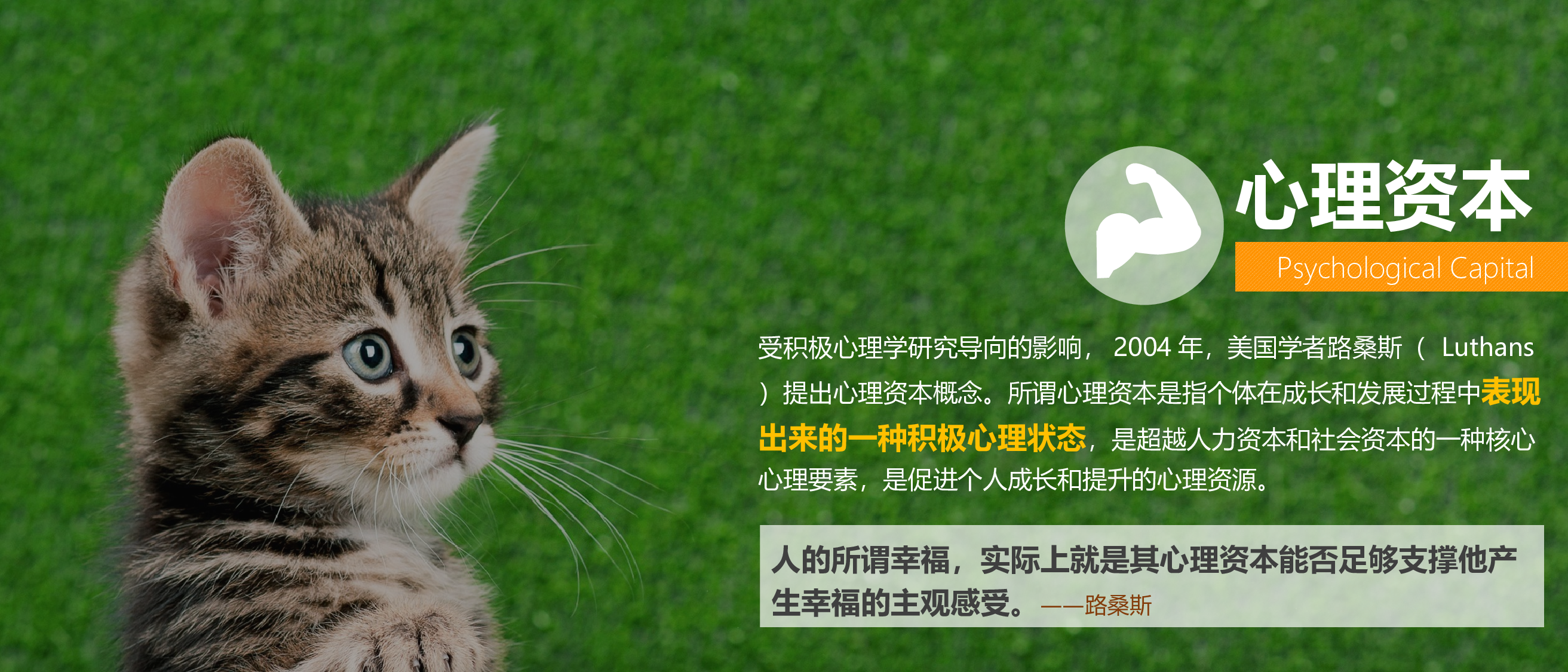 静态模板076.ppt 第6页