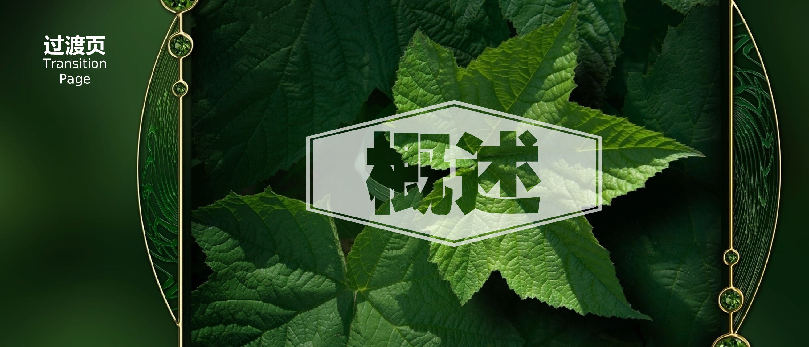 静态模板076.ppt 第3页