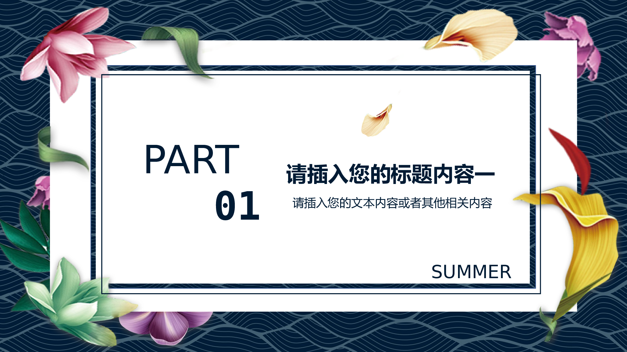 夏天48.pptx 第3页