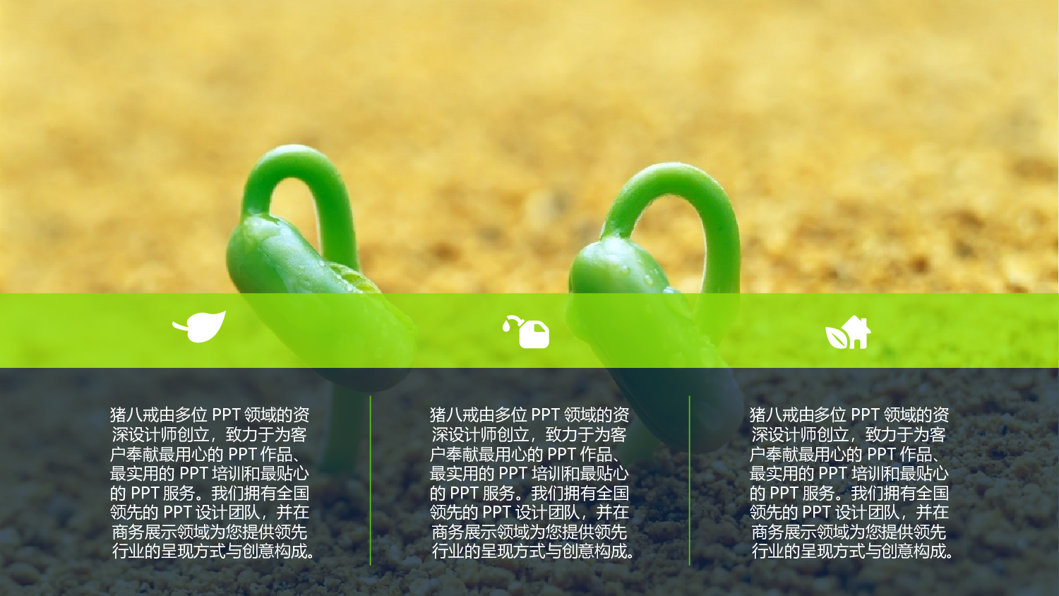 静态精选PPT模板 (4).pptx 第3页