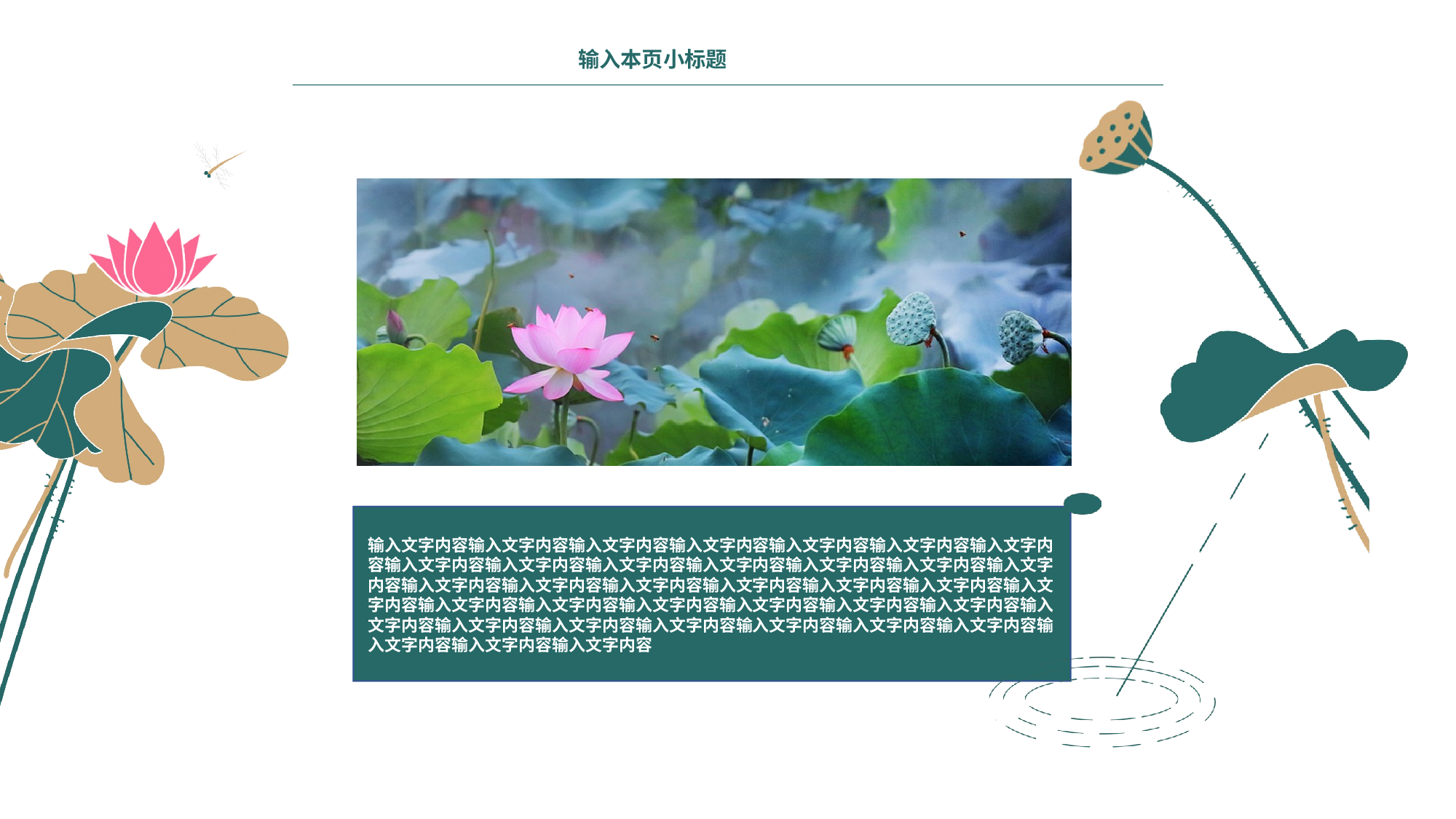夏天45.pptx 第4页