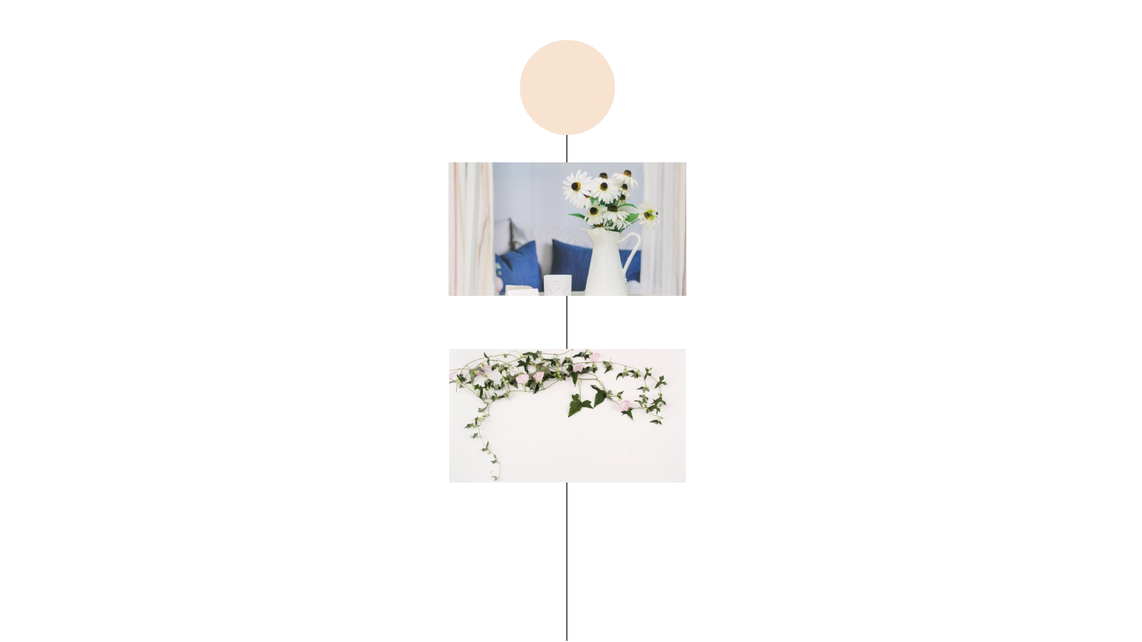 开题答辩116.pptx 第6页