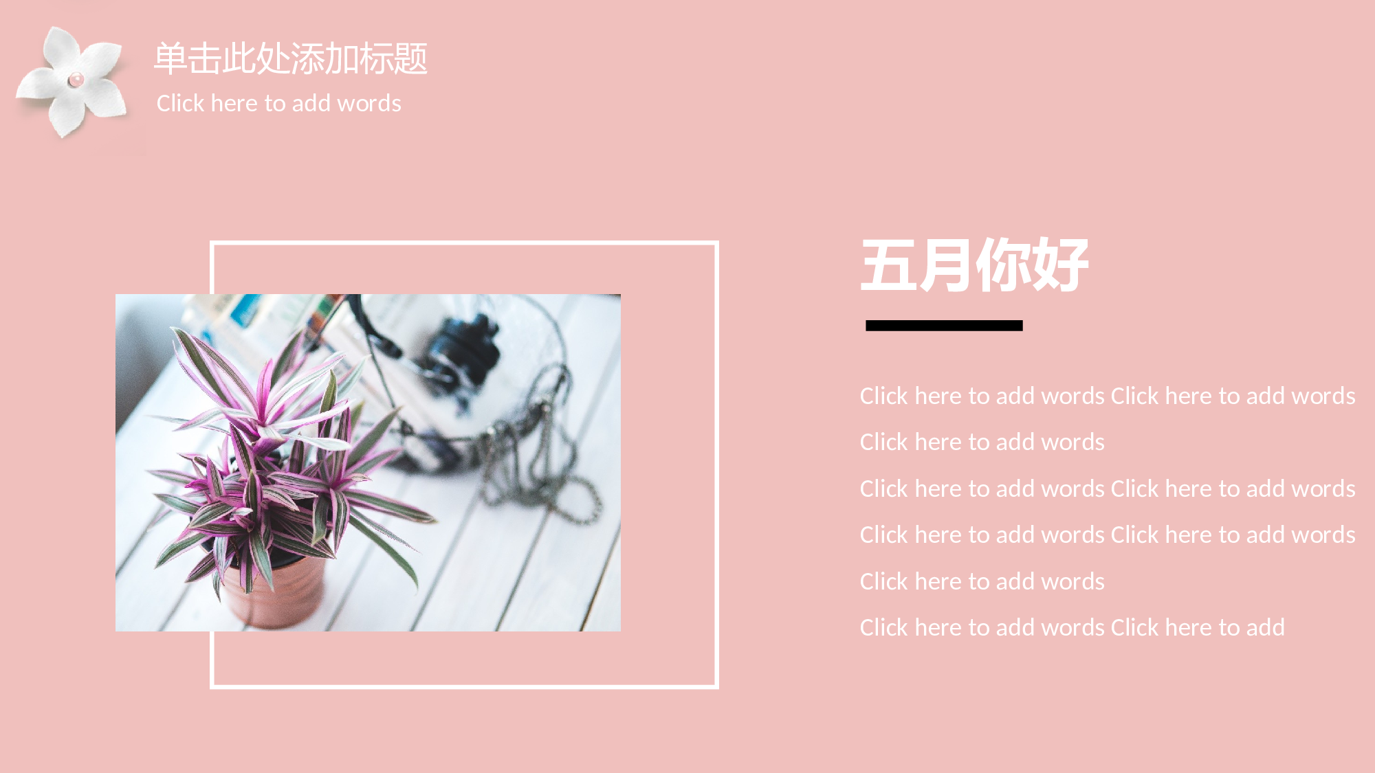 马卡龙色系PPT (13).pptx 第5页