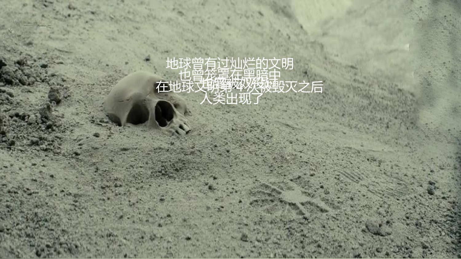 美乐辰 动态 82.pptx 第5页