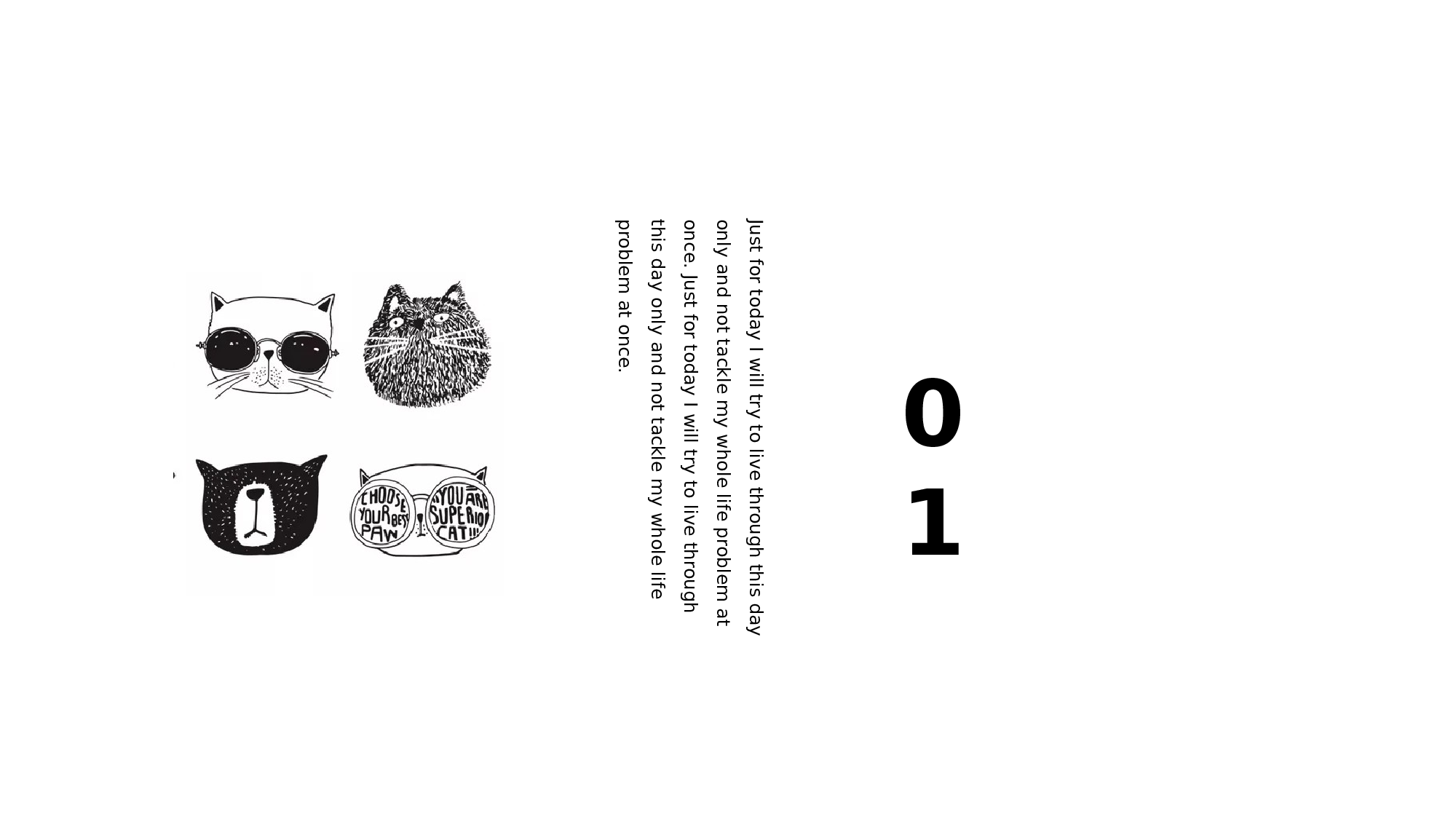 猫咪主题17.pptx 第3页