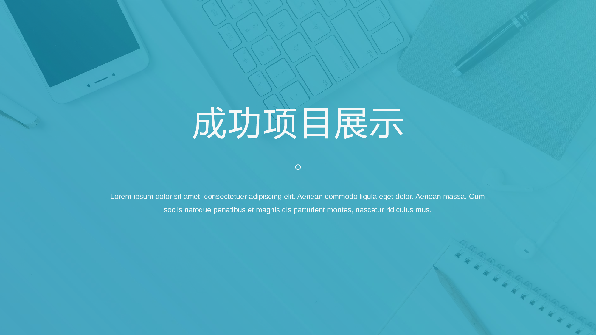 纯色简约 (13).pptx 第5页