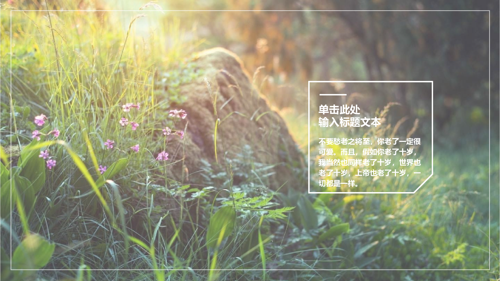 日系(9).pptx 第3页