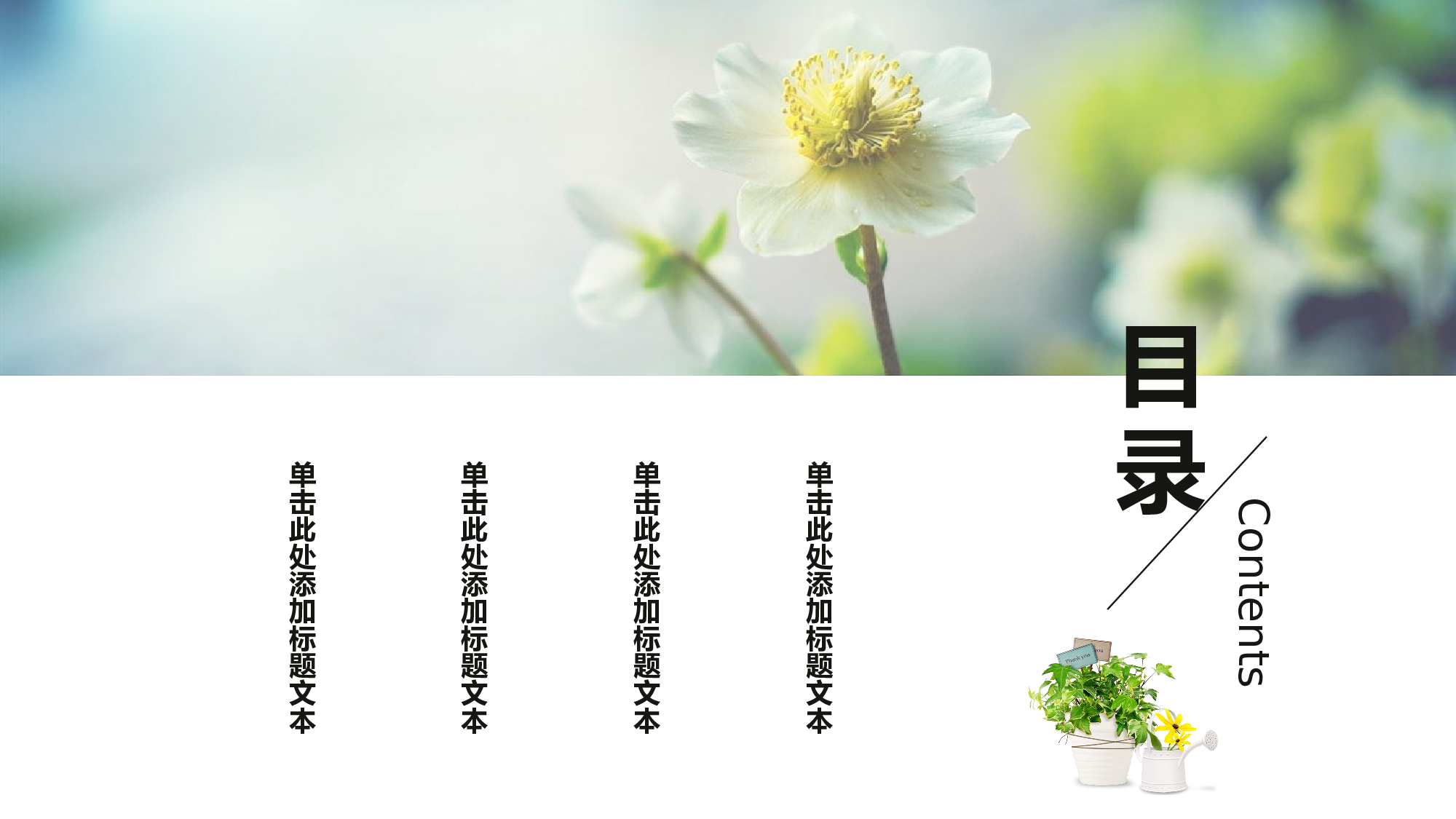 日系(9).pptx 第2页