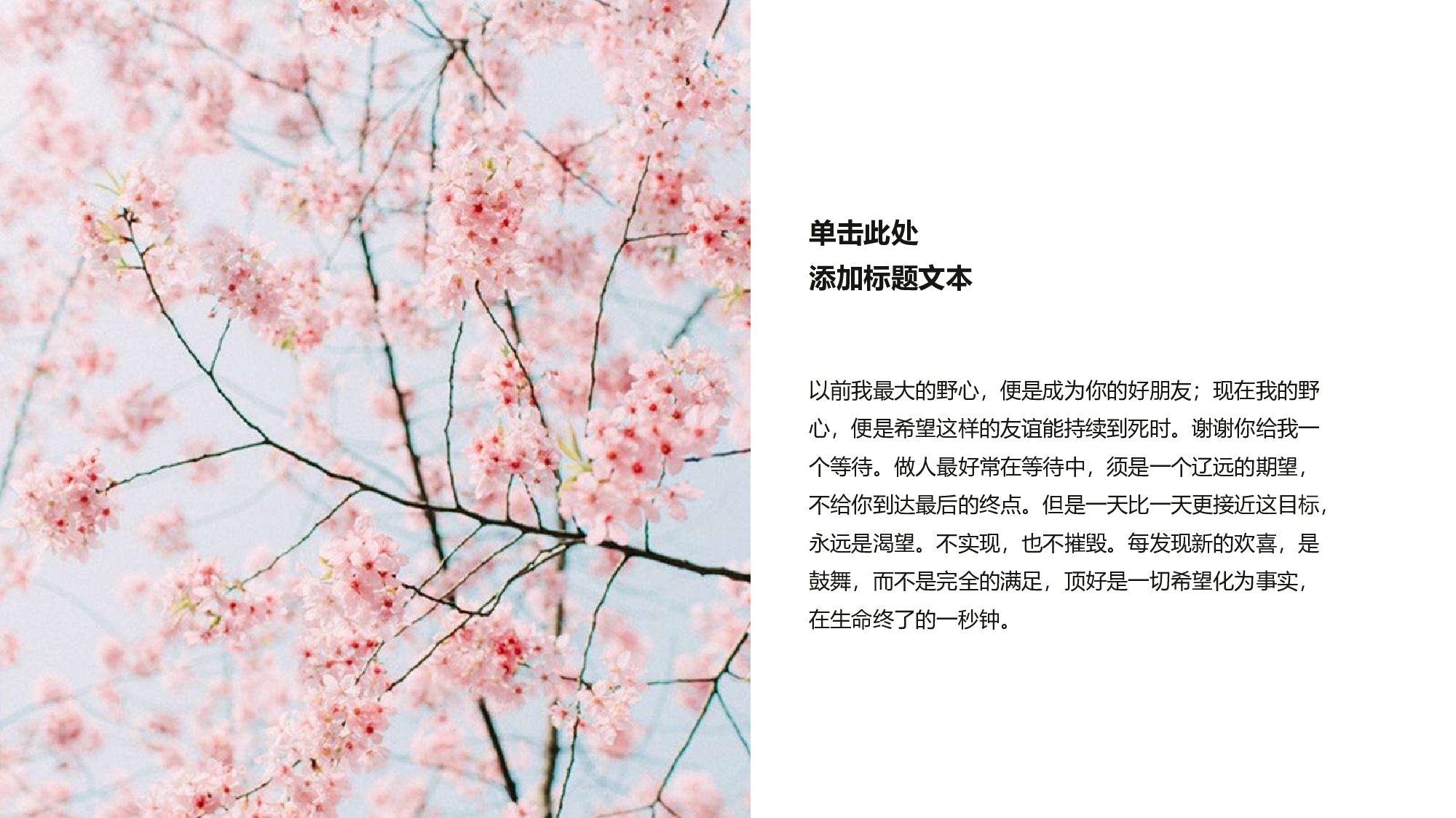 日系(9).pptx 第5页