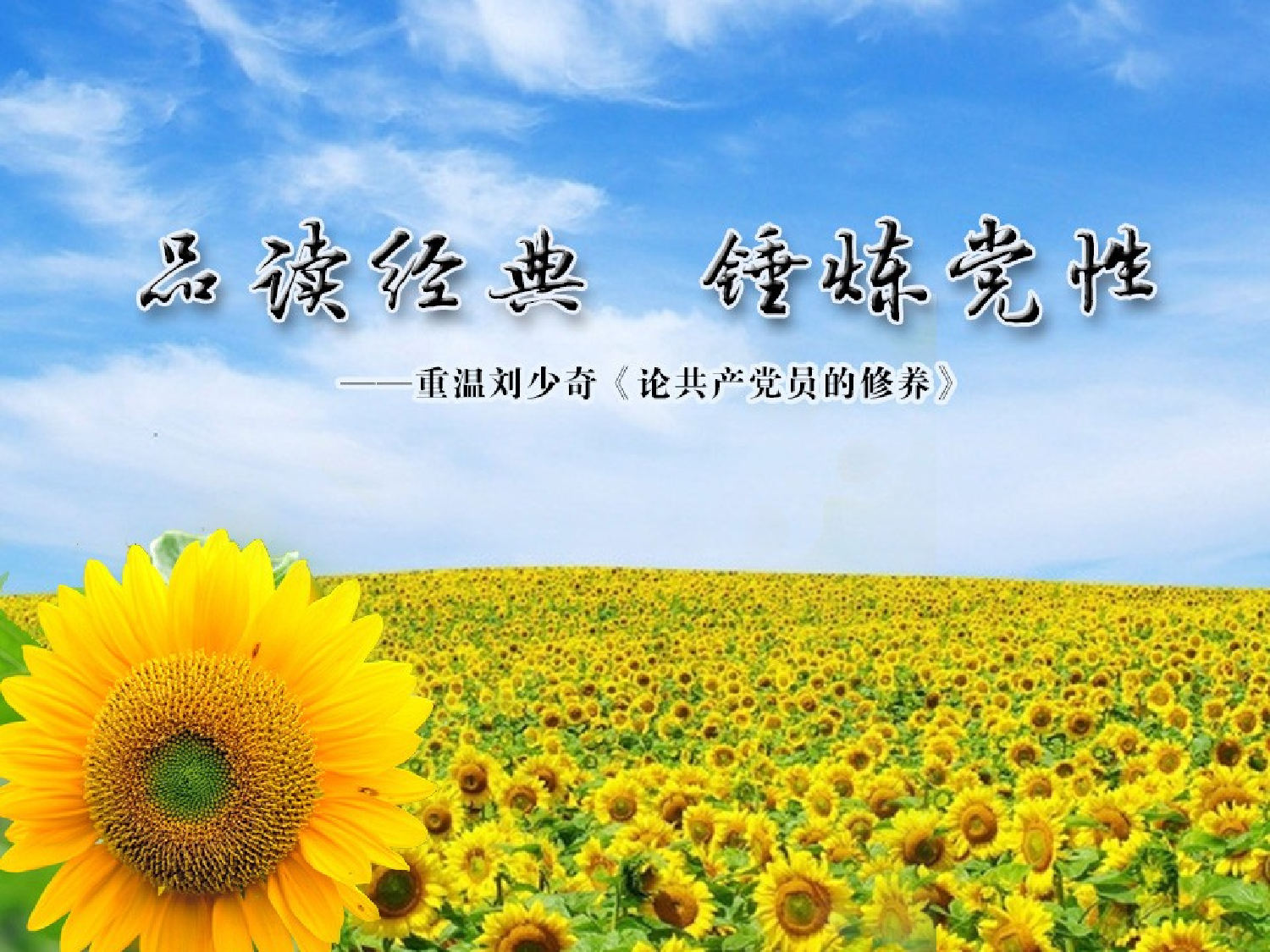 品读经典 锤炼党性（论修养）.ppt 第1页