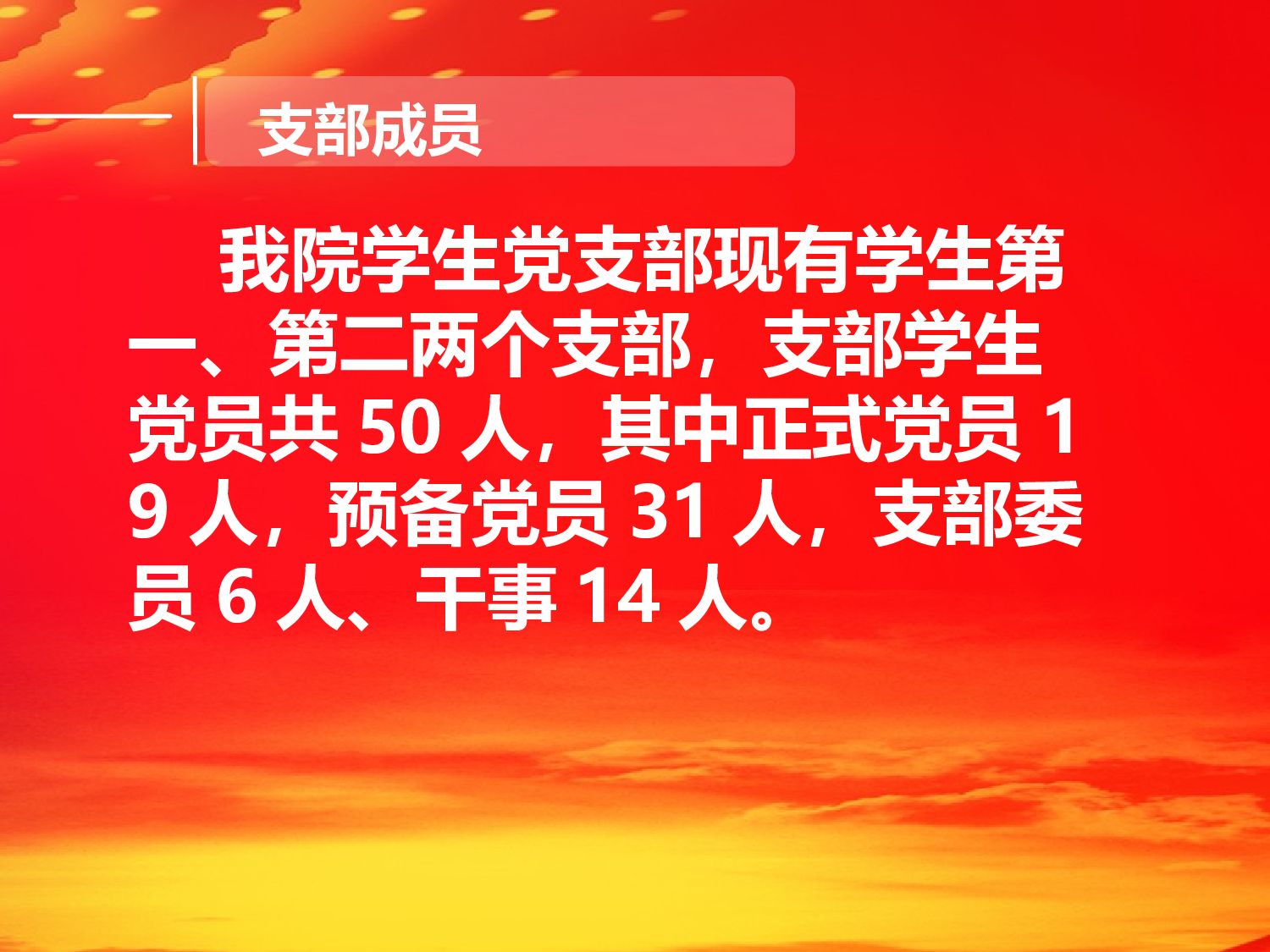 学生党支部年工作总结.ppt 第5页