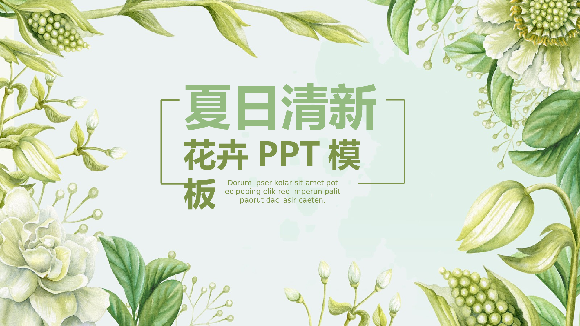 夏天20.pptx 第1页