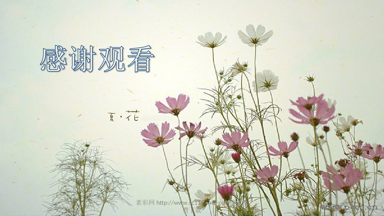 唯美清新53611ecc010f0358.ppt 第4页