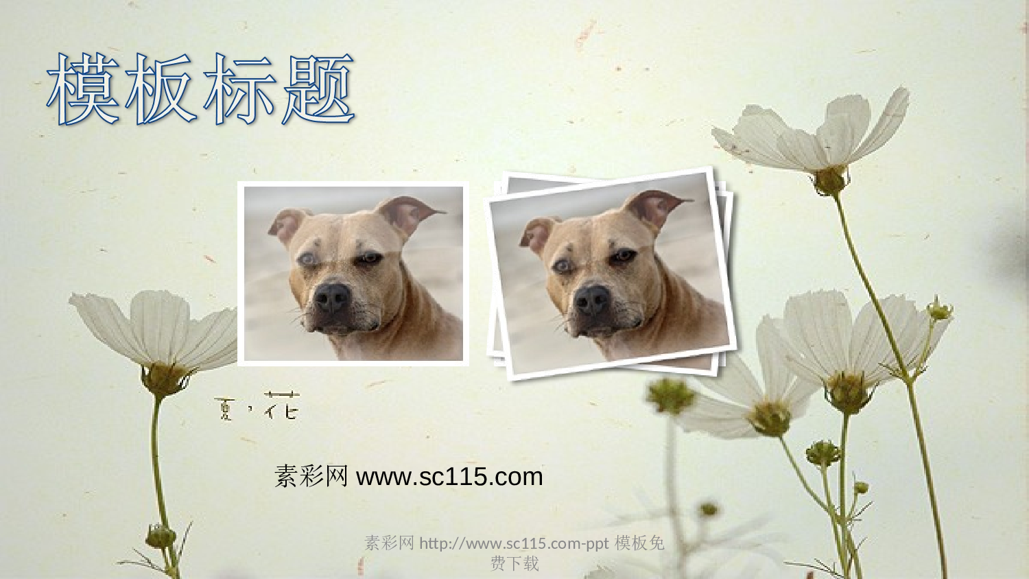 唯美清新53611ecc010f0358.ppt 第3页