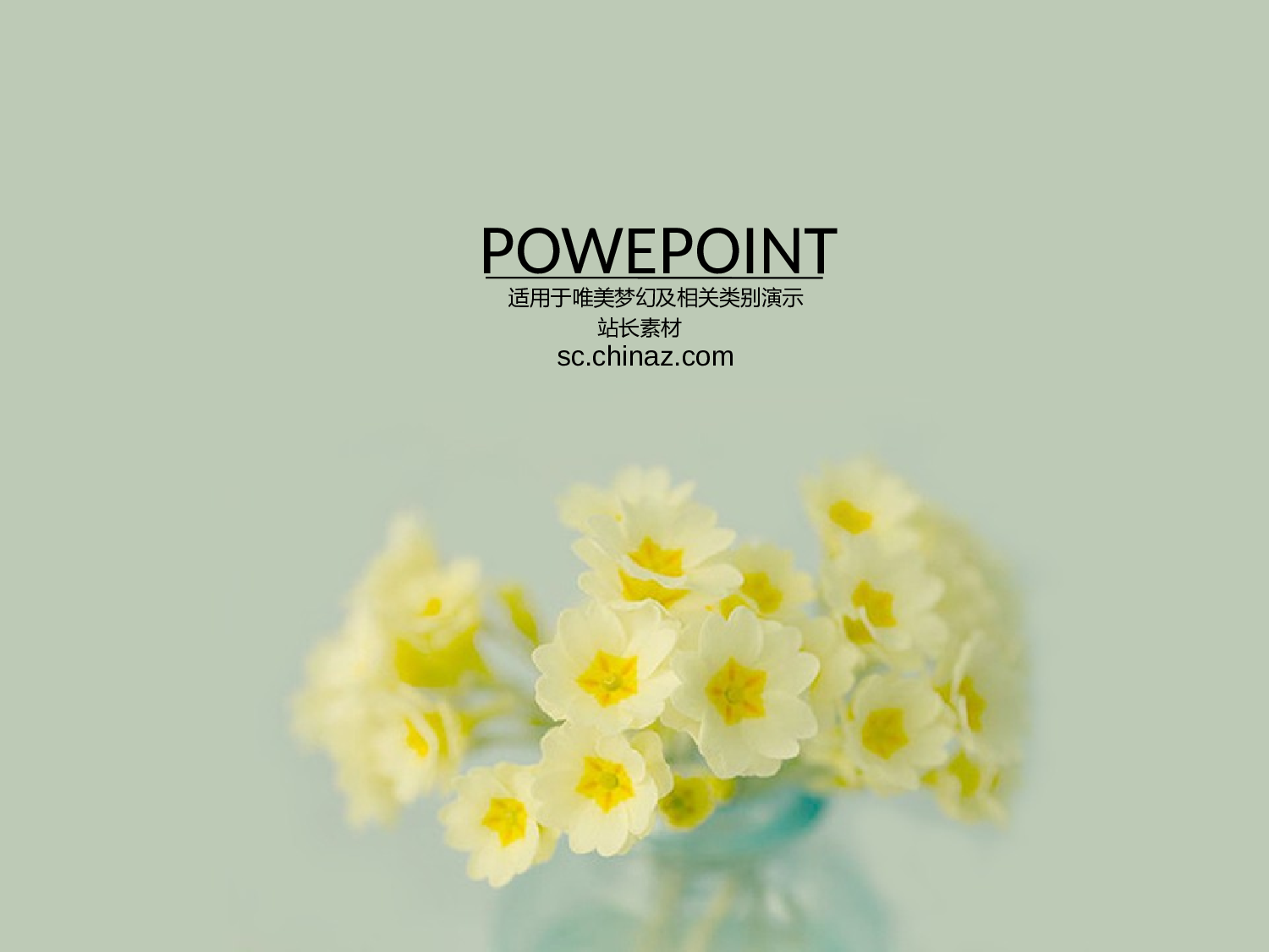 唯美清新ppt4035315.pptx 第1页
