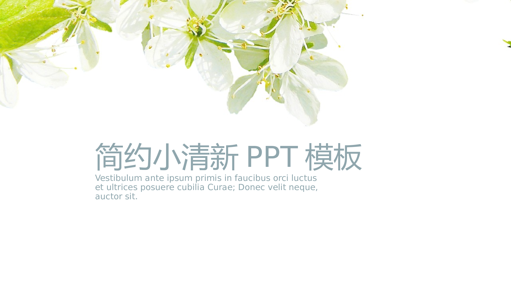 唯美清新PPT模板 (116).pptx 第1页