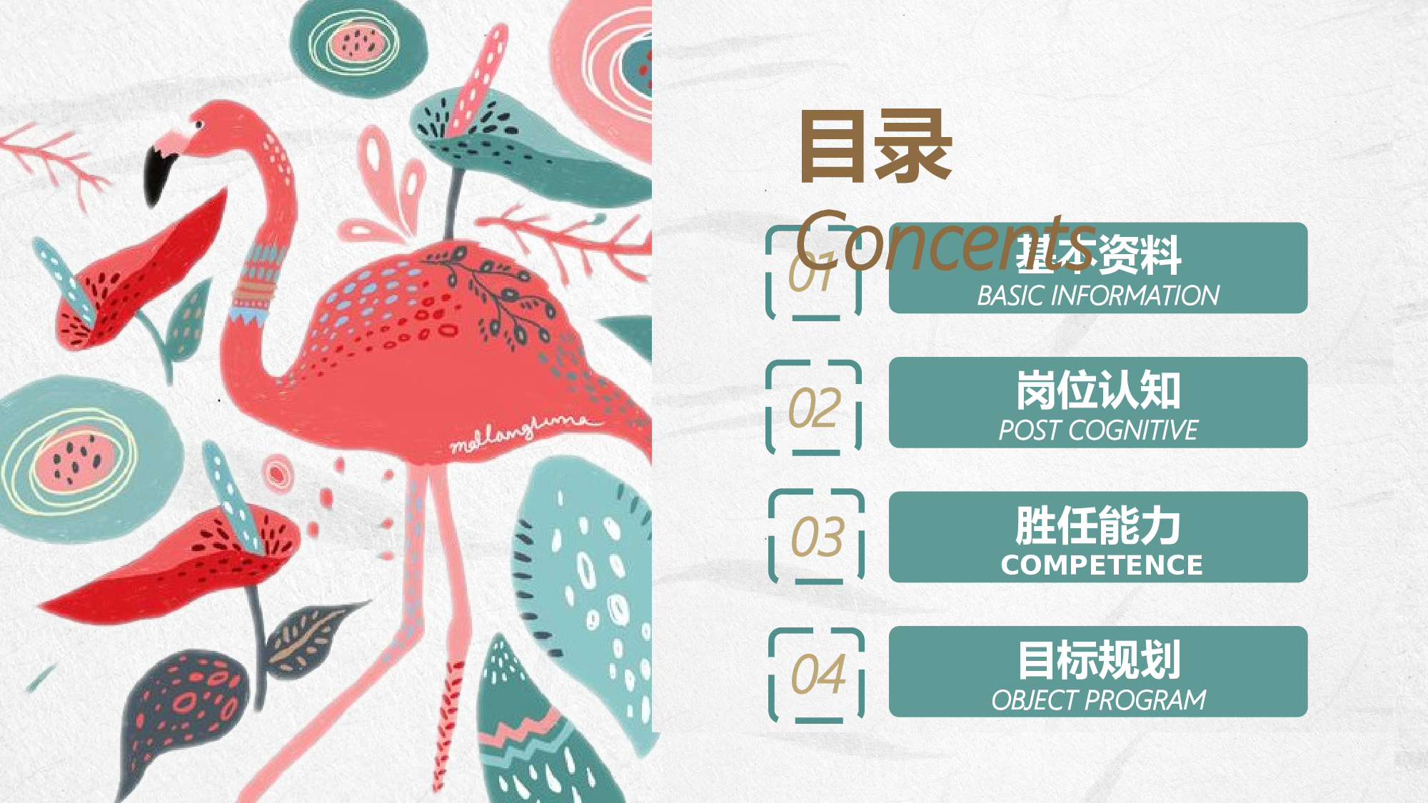 火烈鸟23.pptx 第2页