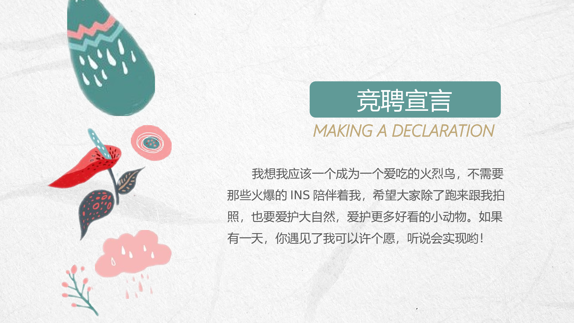 火烈鸟23.pptx 第4页