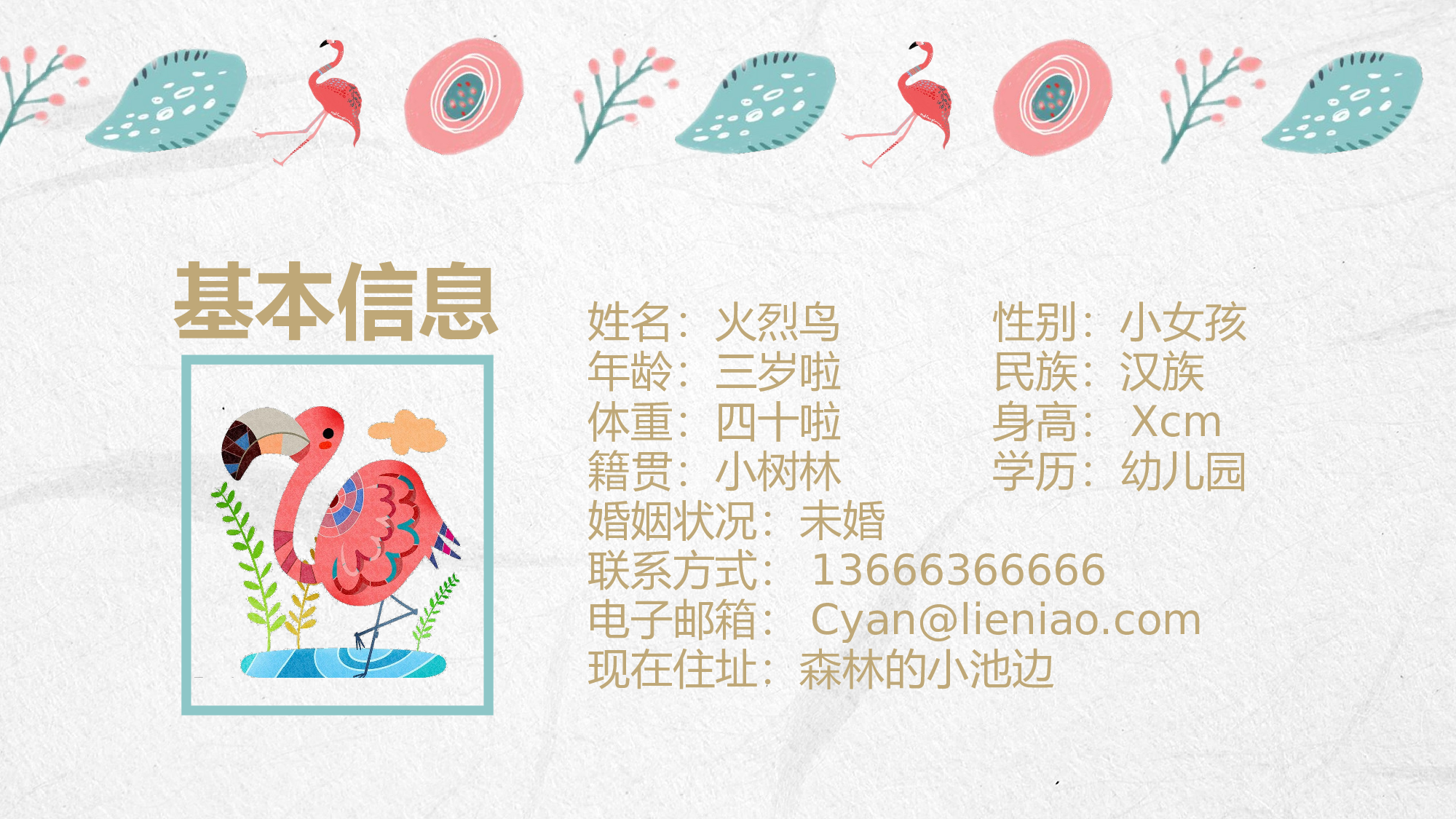 火烈鸟23.pptx 第5页