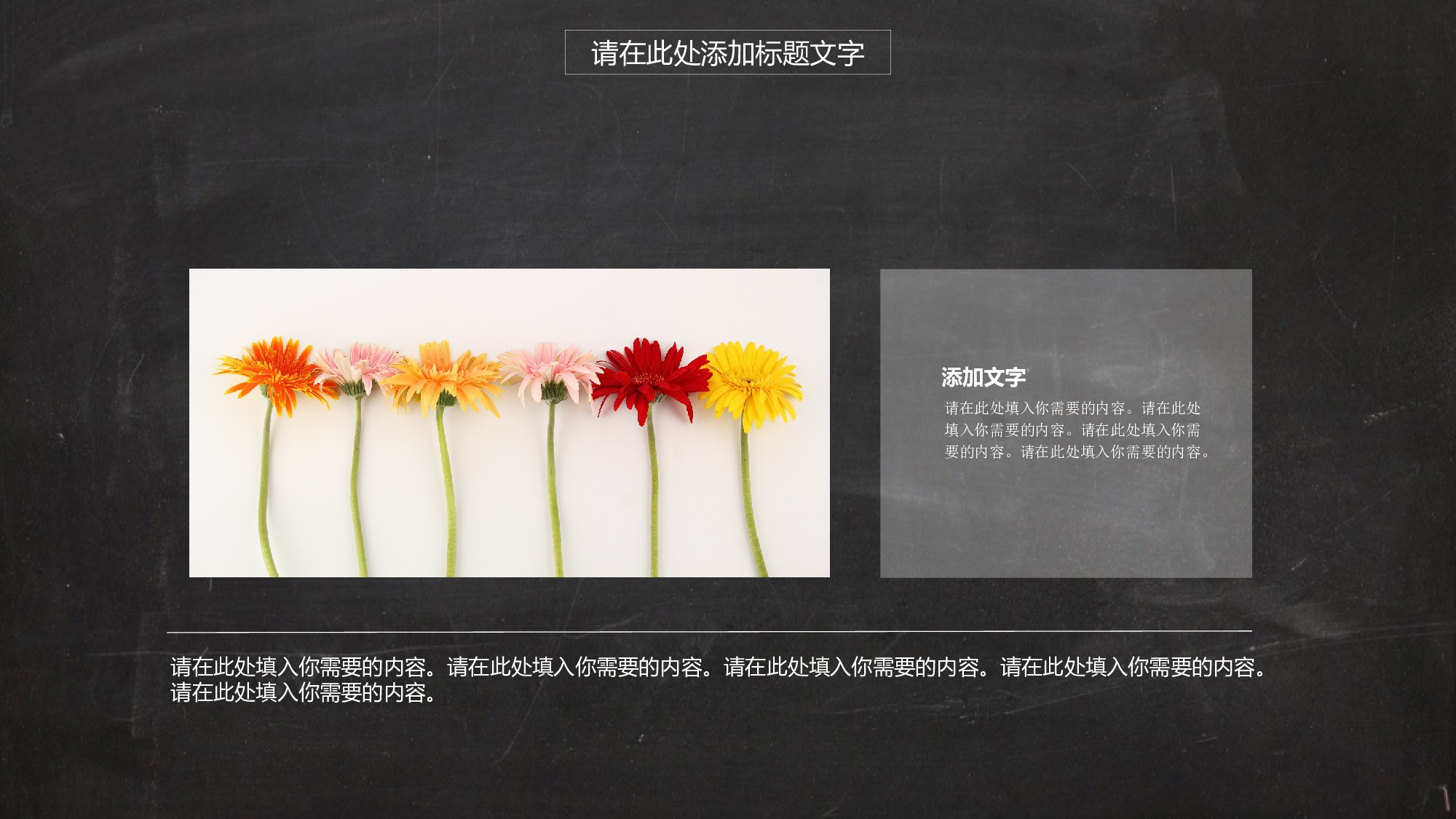 猫咪主题20.pptx 第5页