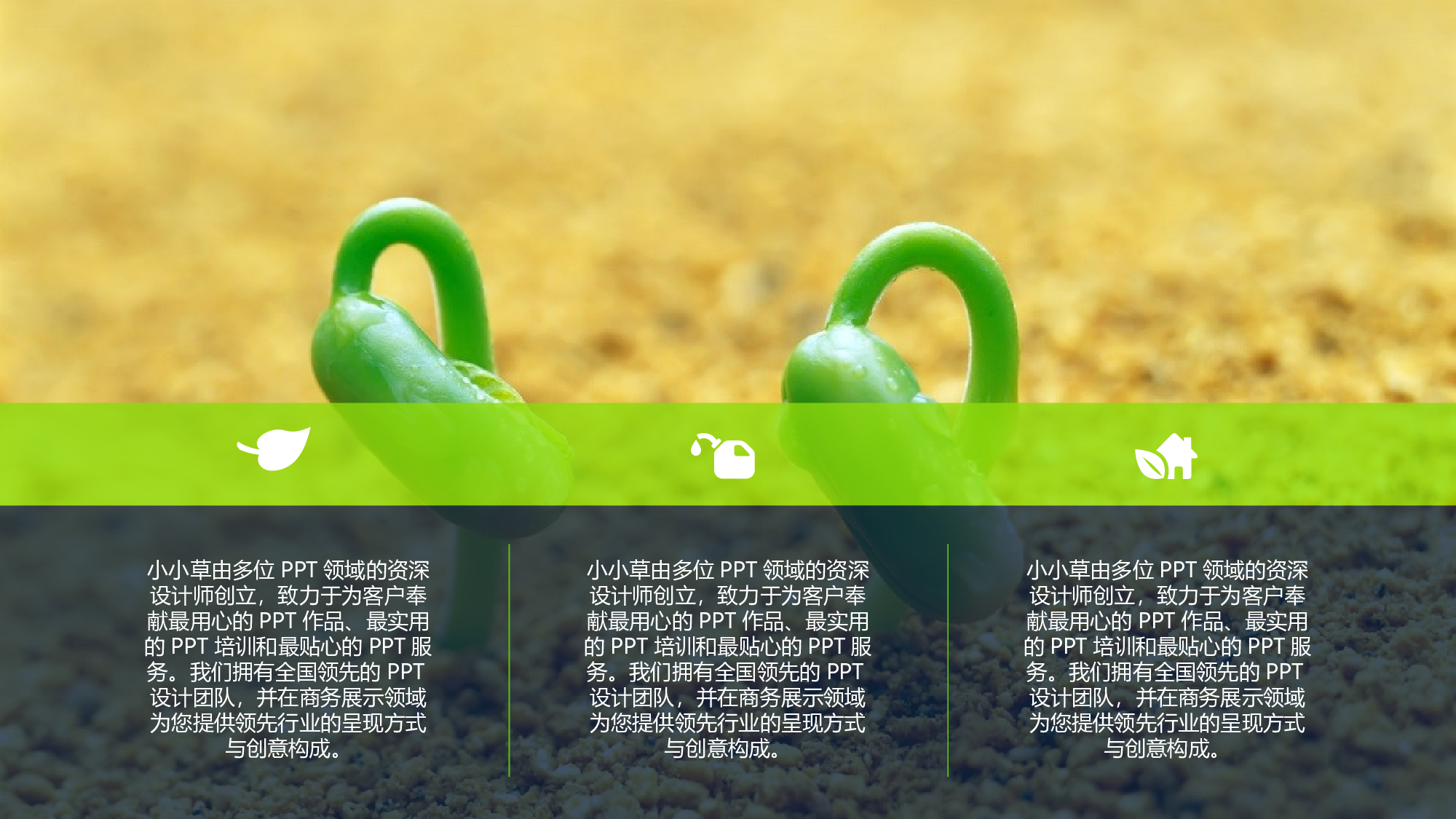 唯美清新PPT模板 (81).ppt 第3页