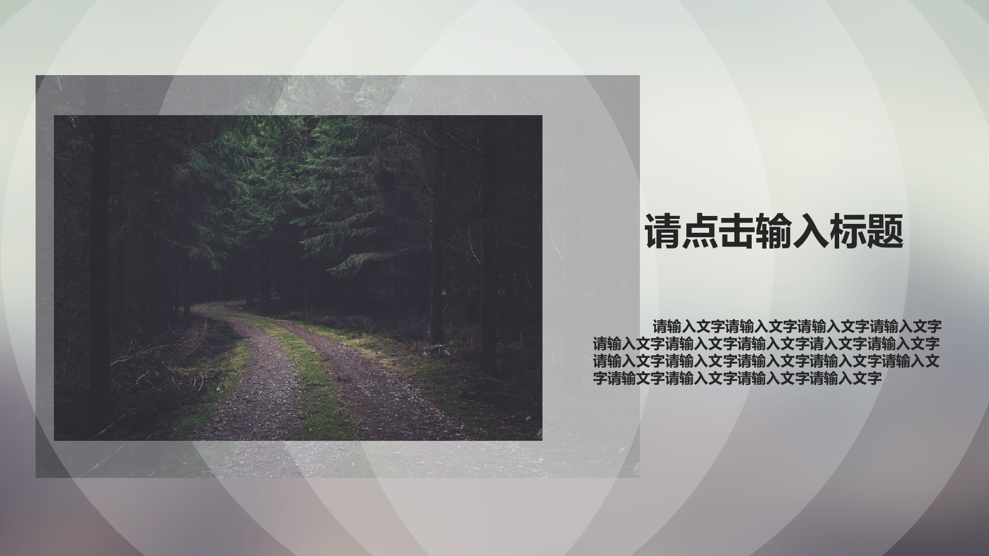 唯美清新模板06160.pptx 第4页