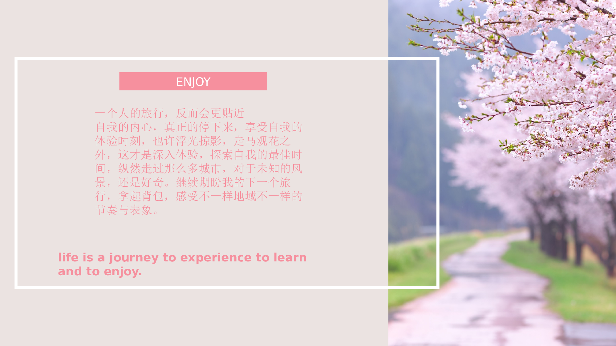 粉色系 (85)静态.pptx 第3页