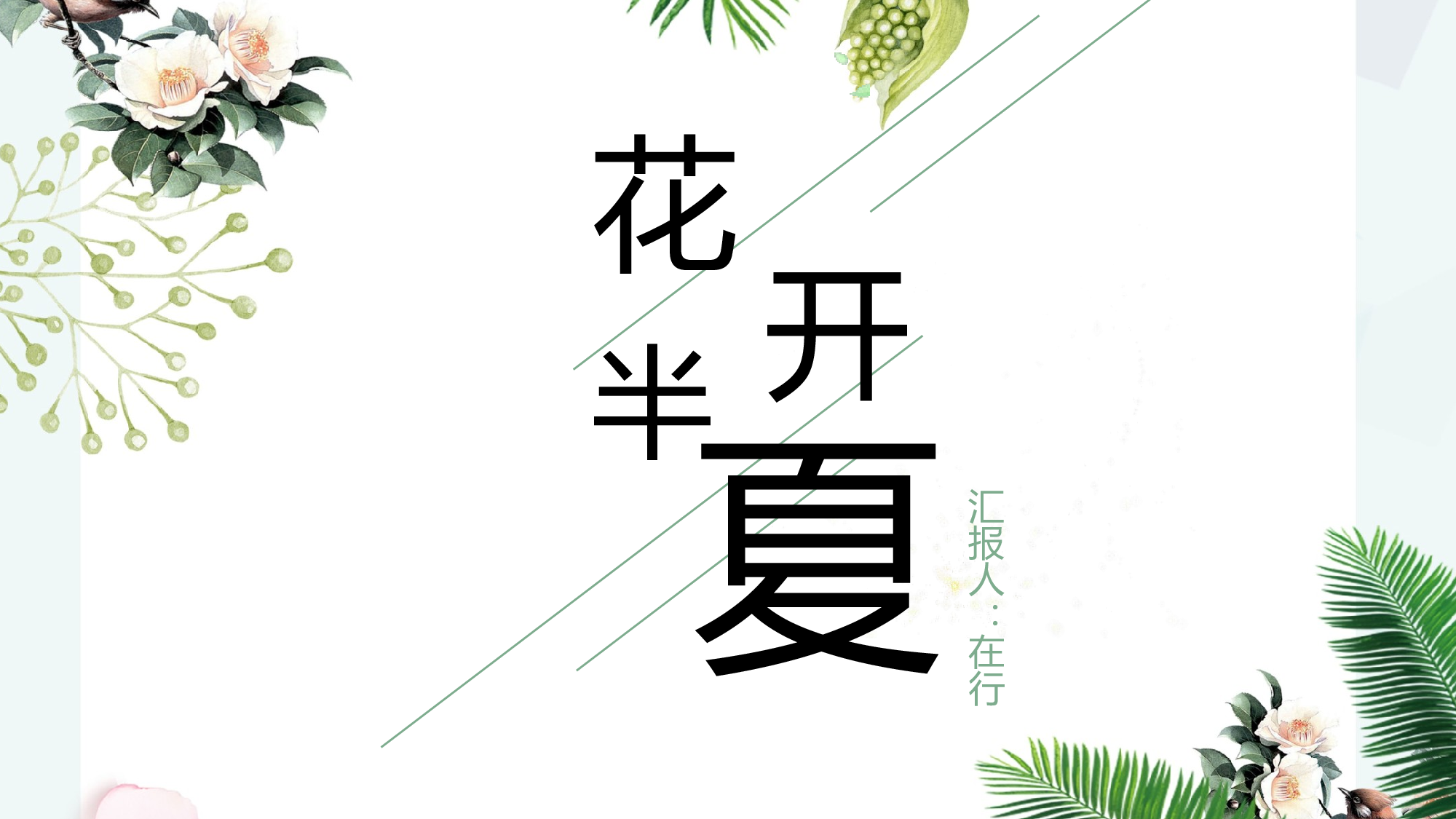 夏天52.pptx 第1页