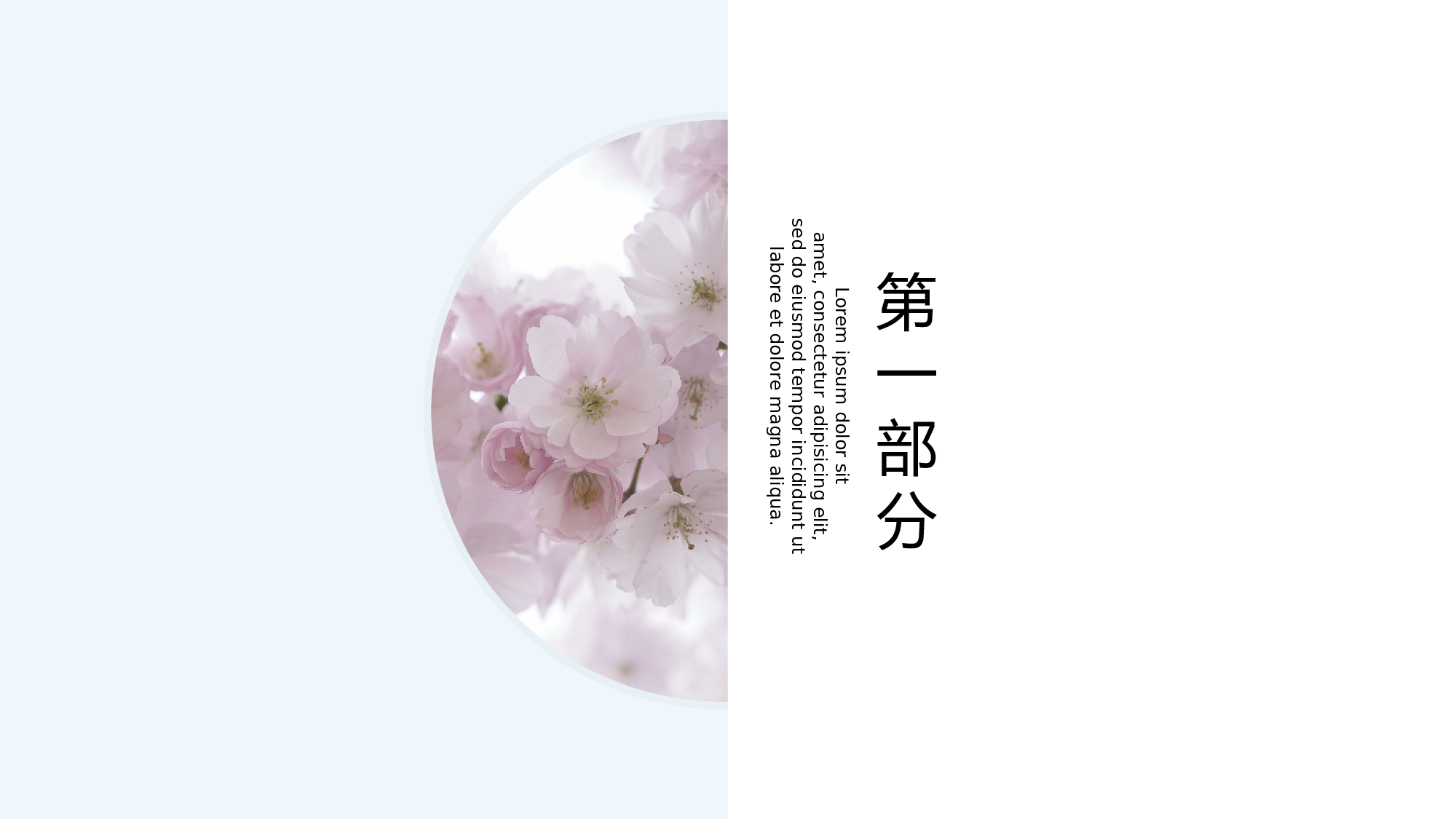 日系(3).pptx 第3页